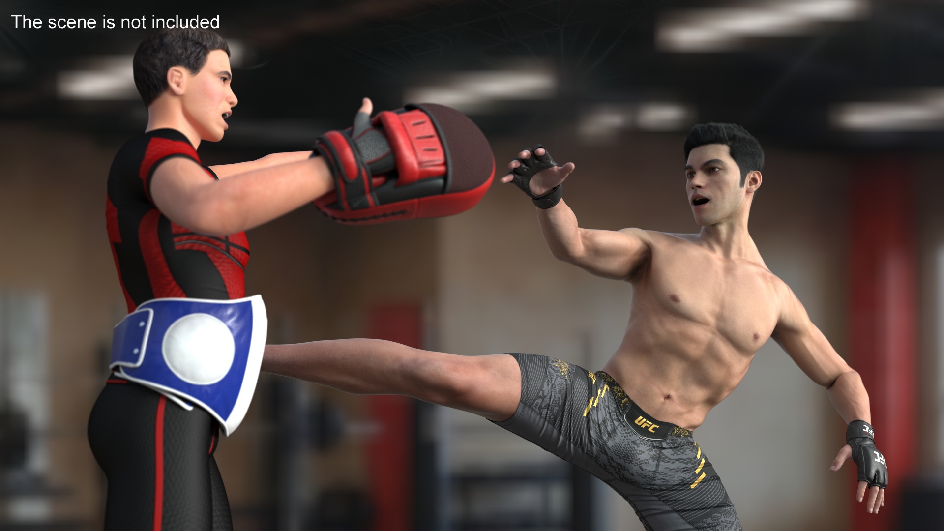 Fighter UFC MMA Training with Coach Fur 3D model
