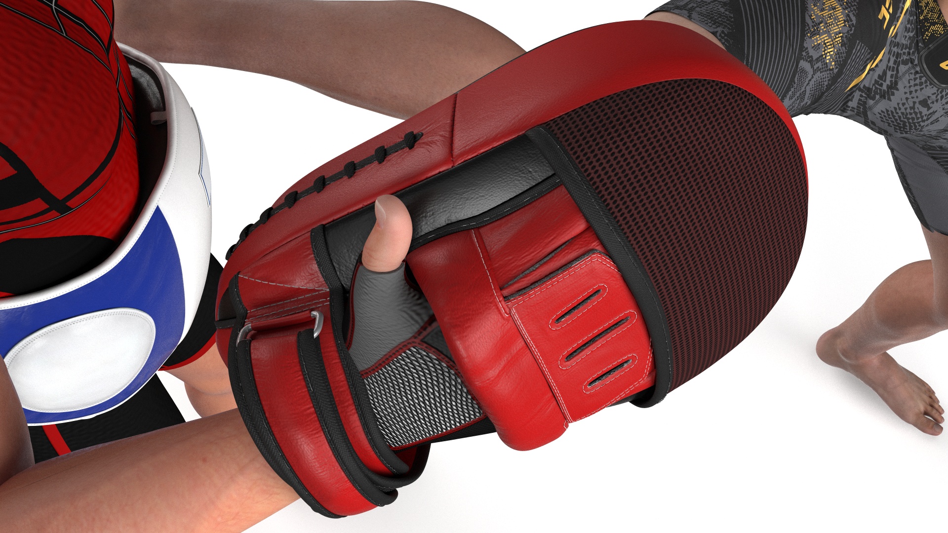 Fighter UFC MMA Training with Coach Fur 3D model