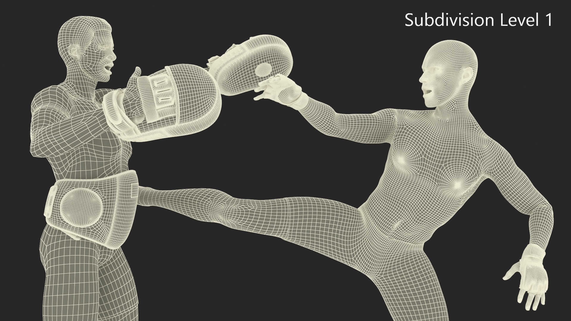 Fighter UFC MMA Training with Coach Fur 3D model