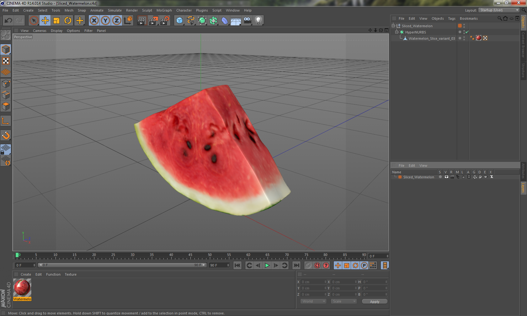 Sliced Watermelon 3D