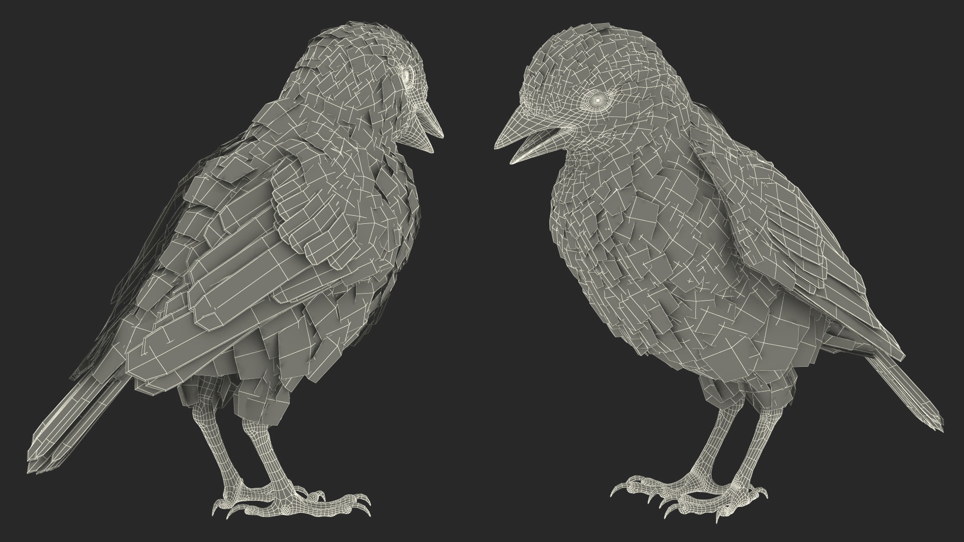 3D House Sparrow with Folded Wings