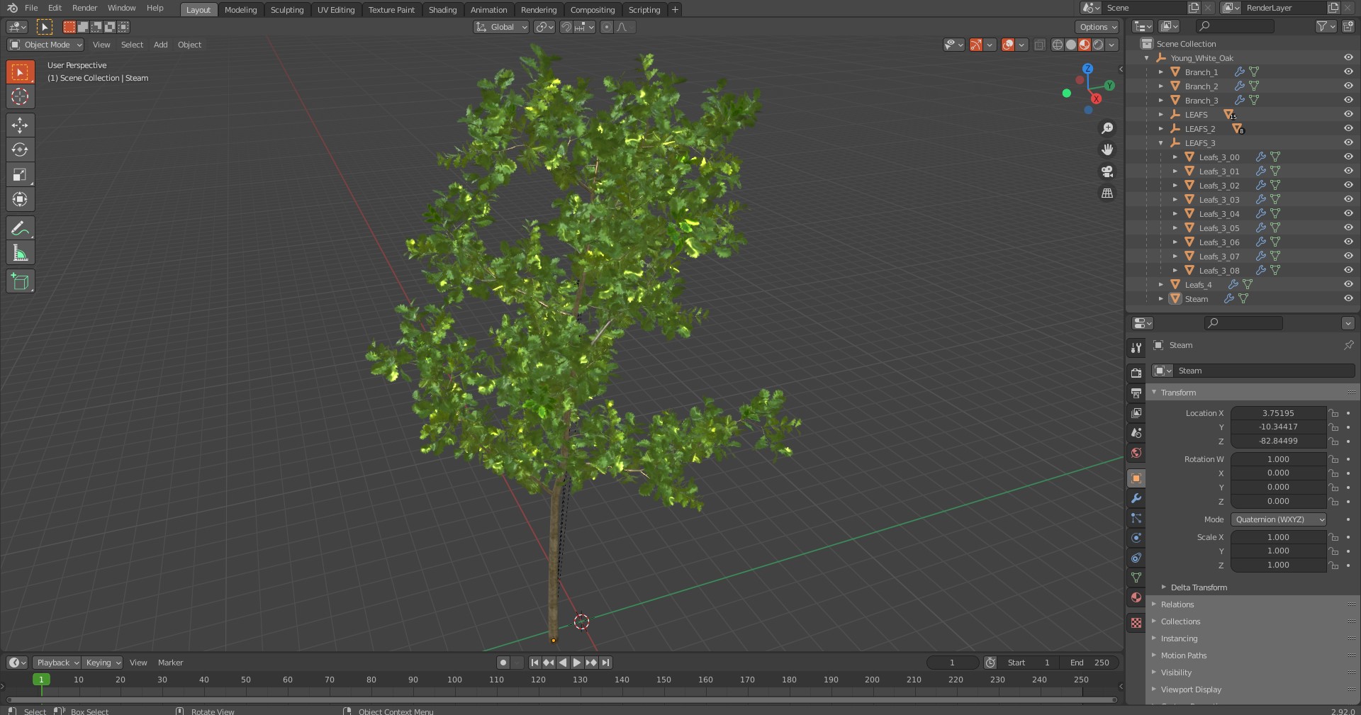 3D model Young White Oak