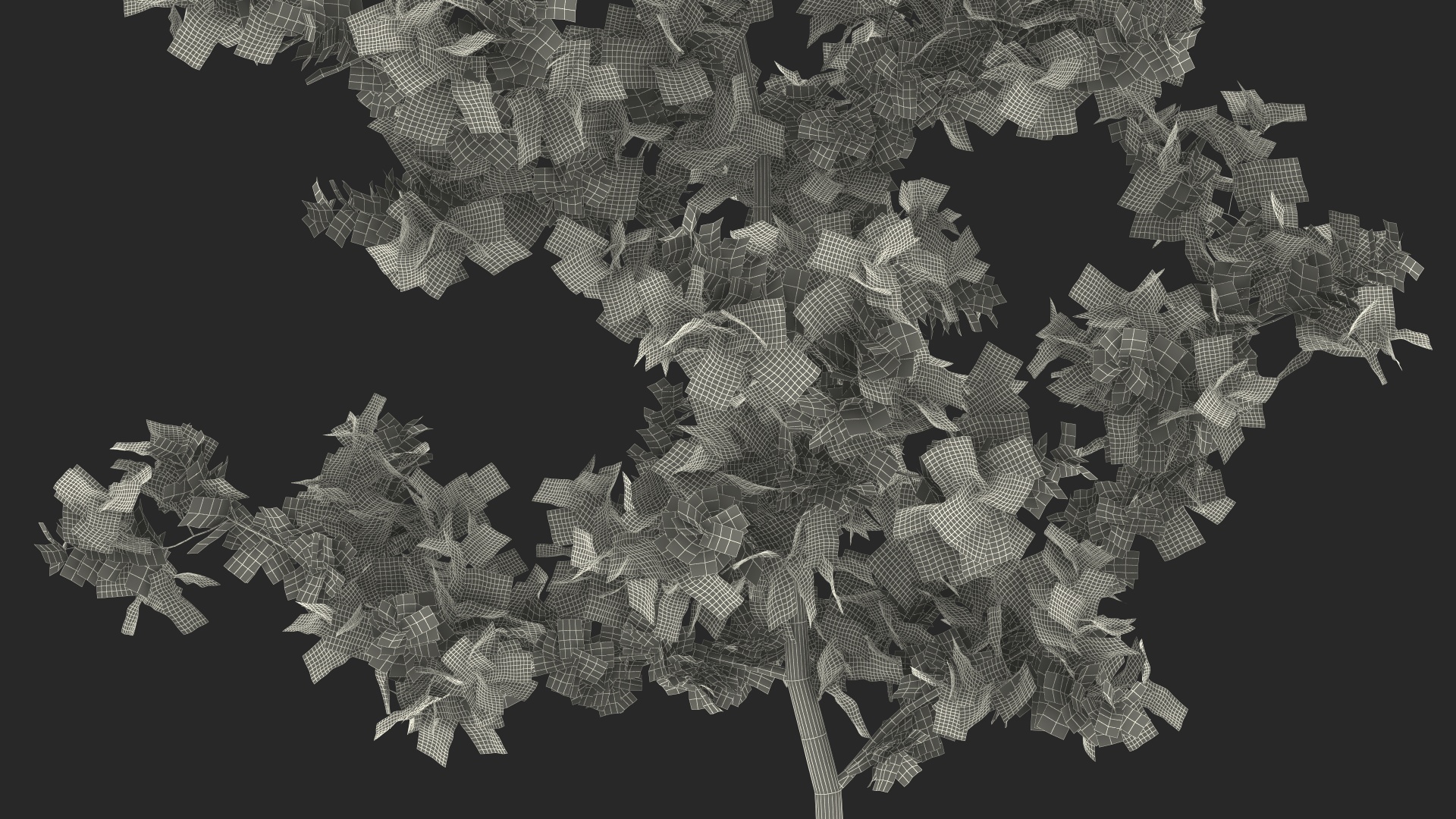 3D model Young White Oak