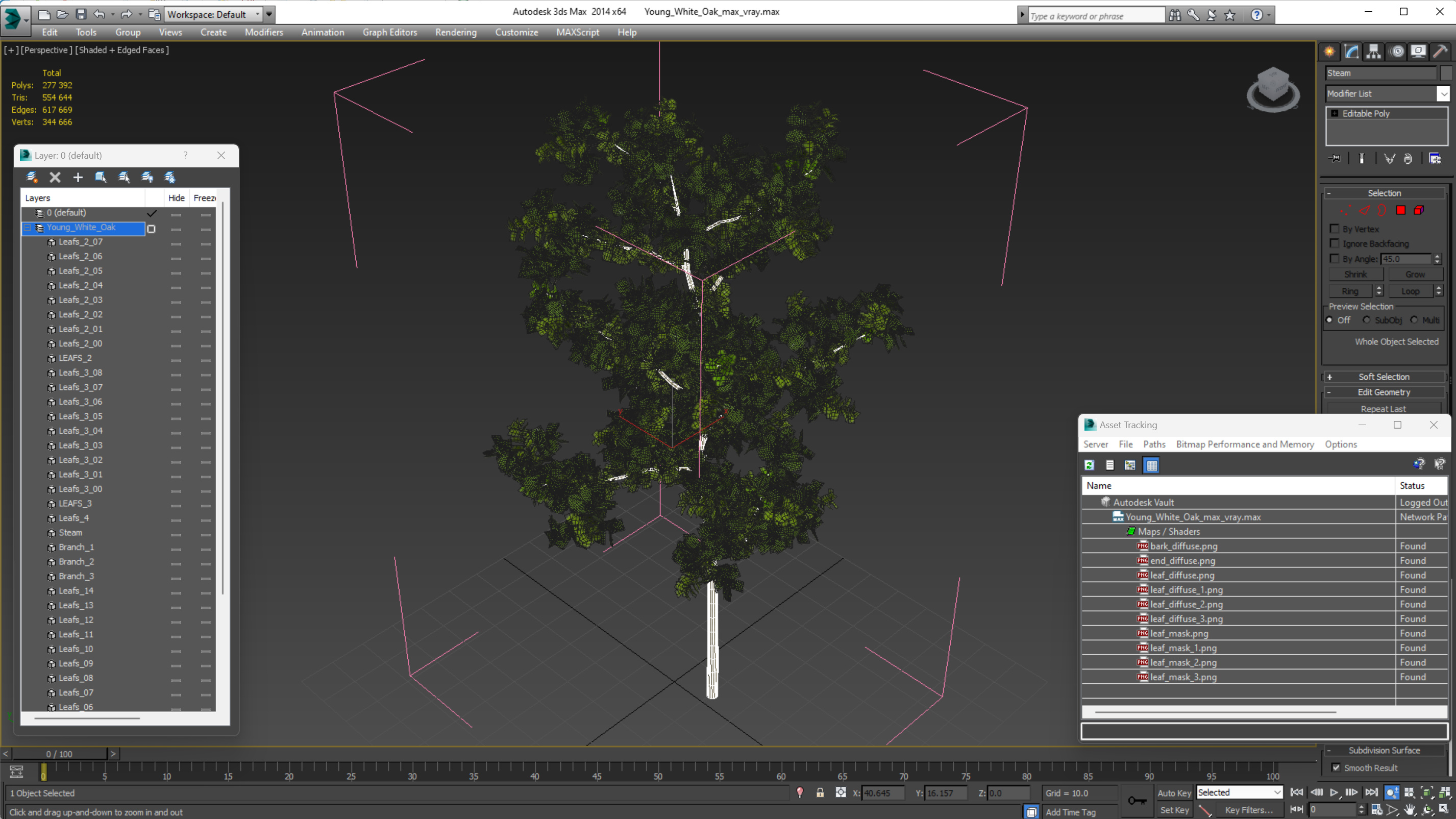 3D model Young White Oak