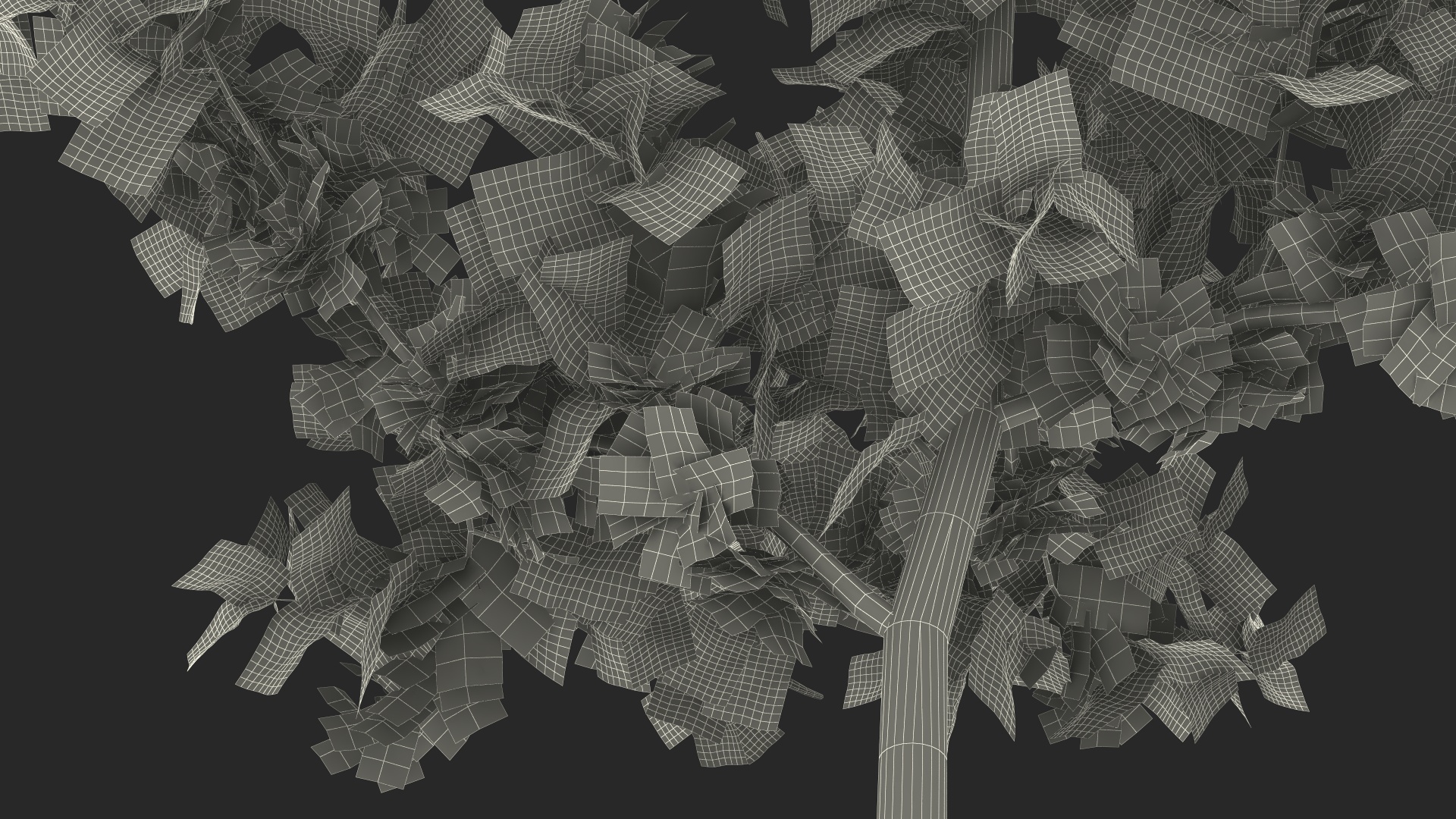 3D model Young White Oak