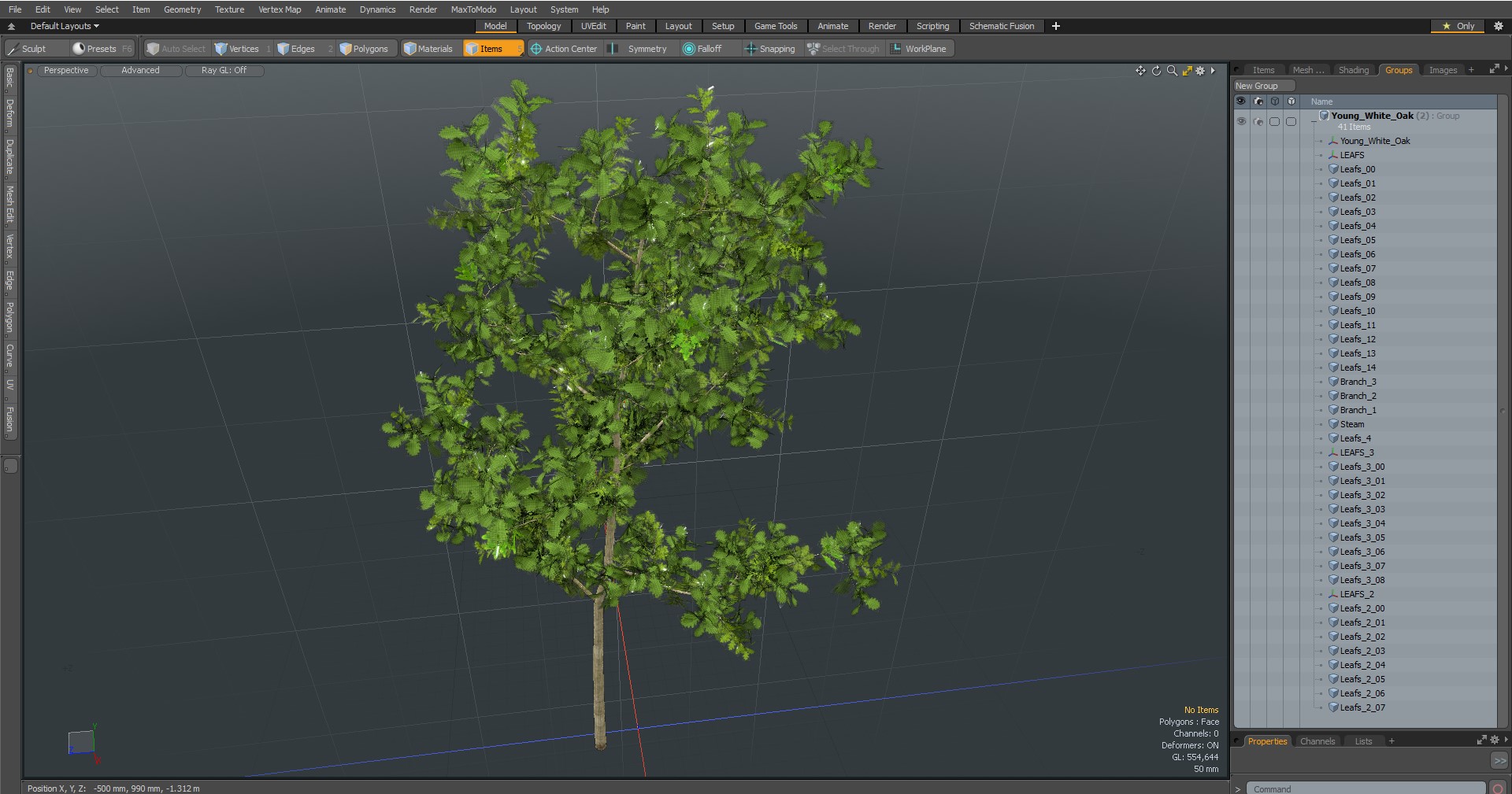 3D model Young White Oak
