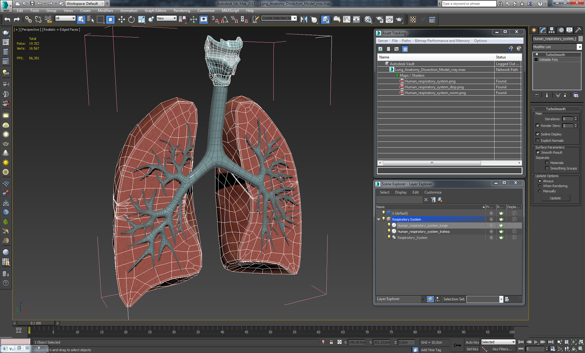 Lung Anatomy Dissection Model 3D model