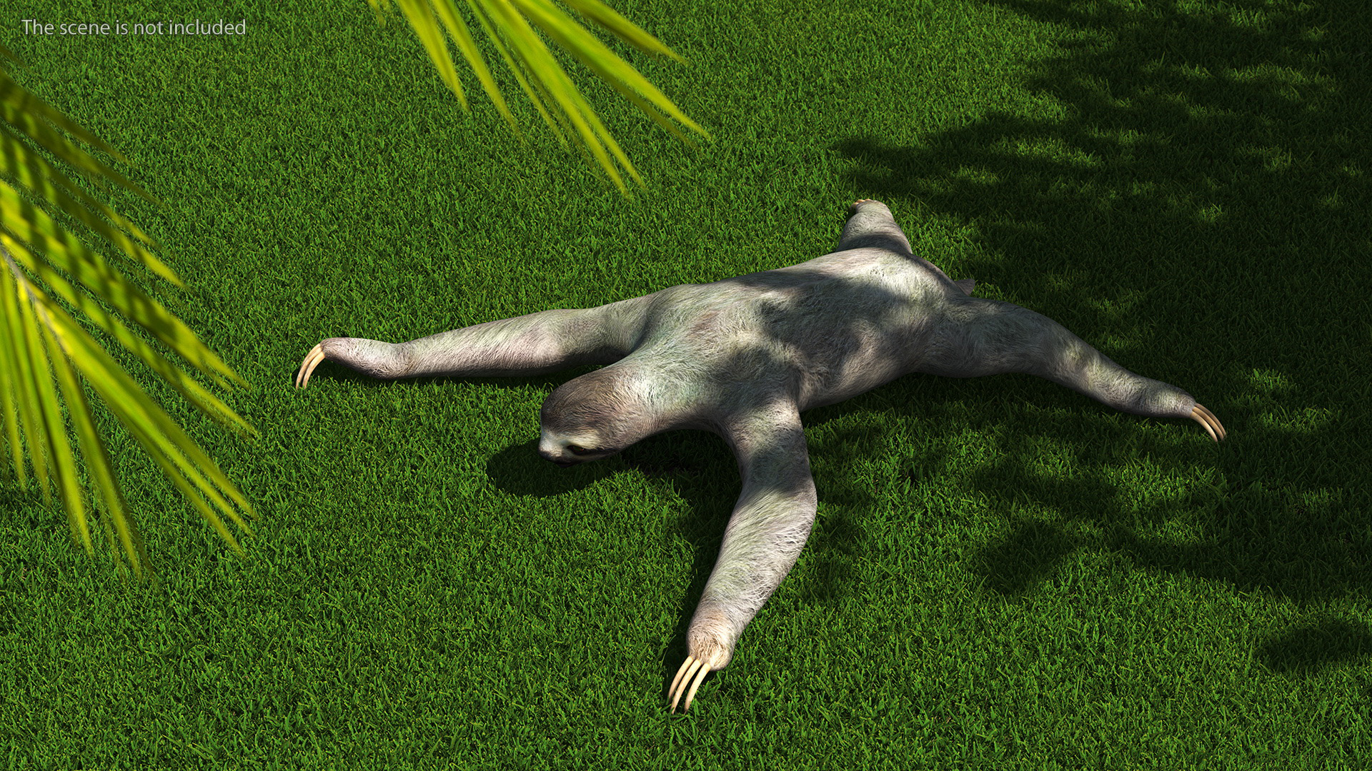 Sloth 3D model