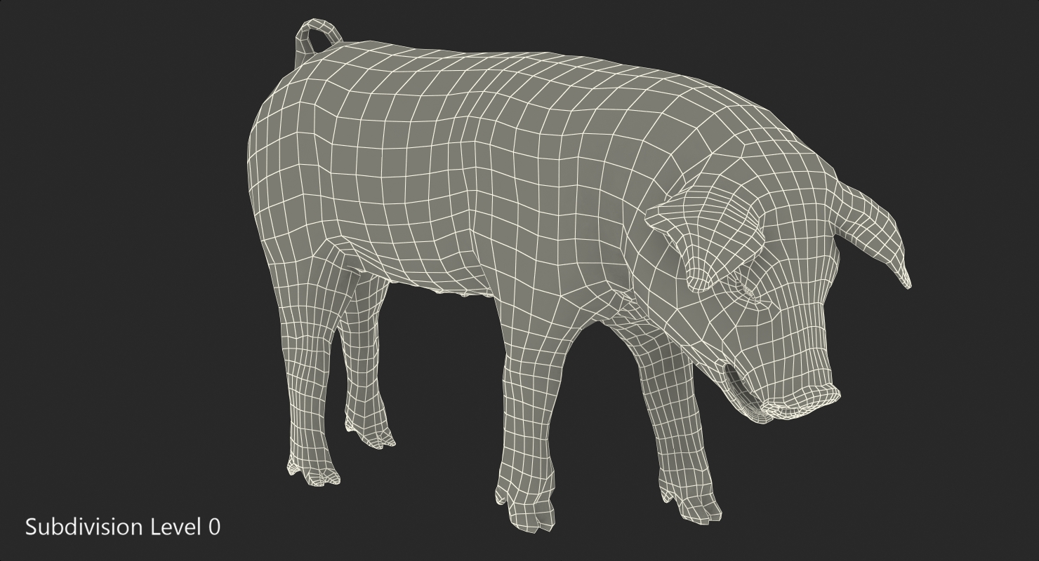 Hampshire Pig Piglet Standing Pose 3D model