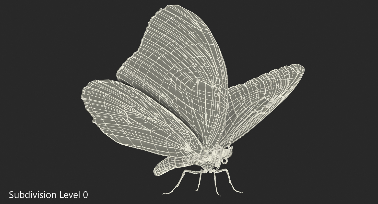 Monarch Butterfly Rigged 3D model