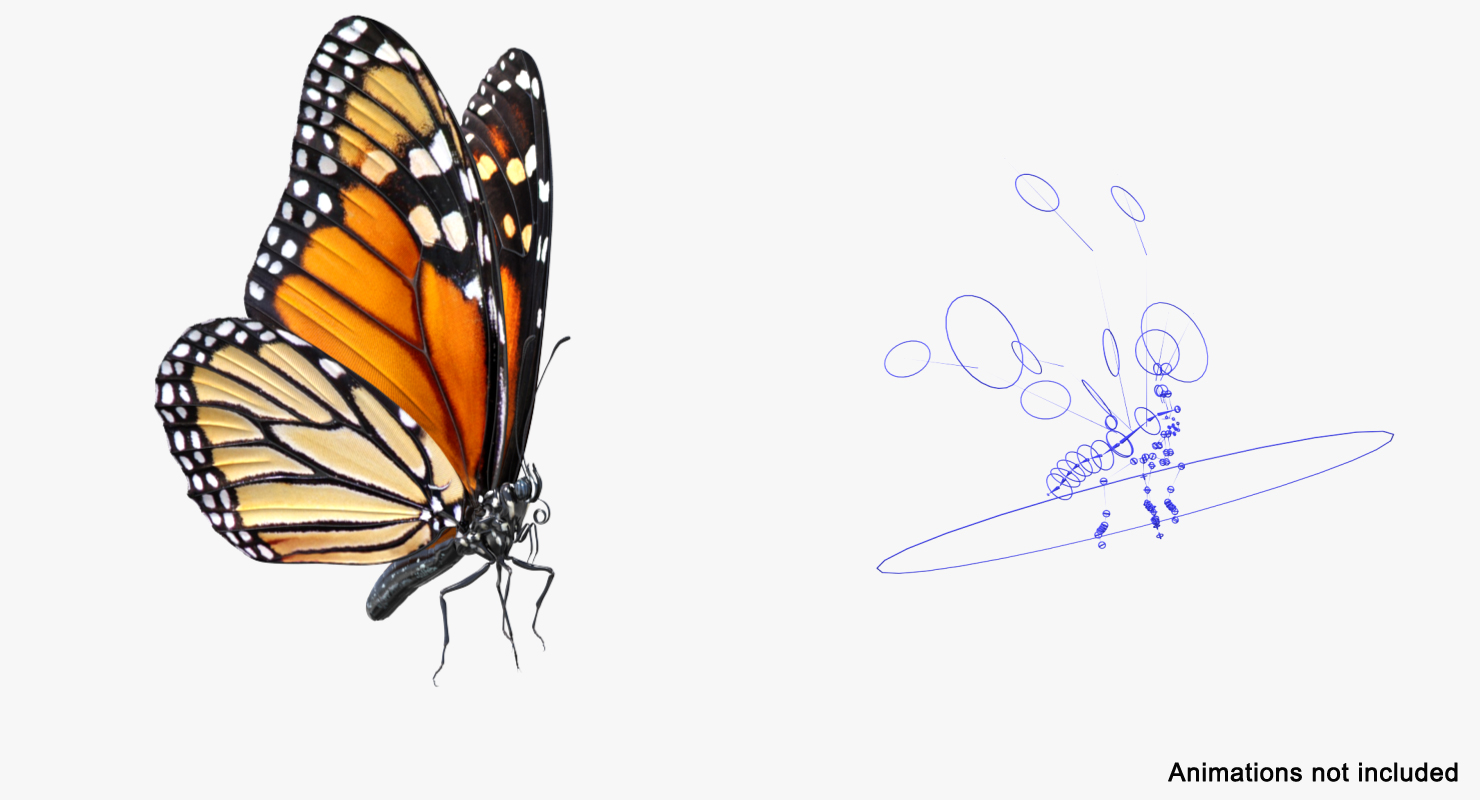 Monarch Butterfly Rigged 3D model