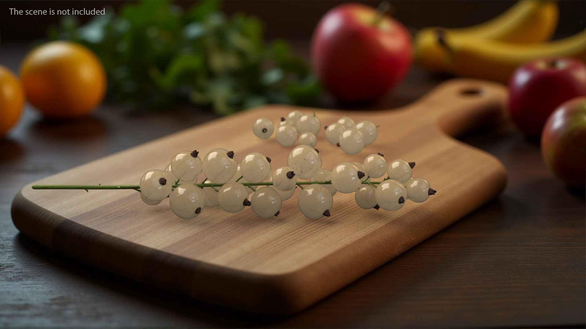 White Currants on Stem 3D