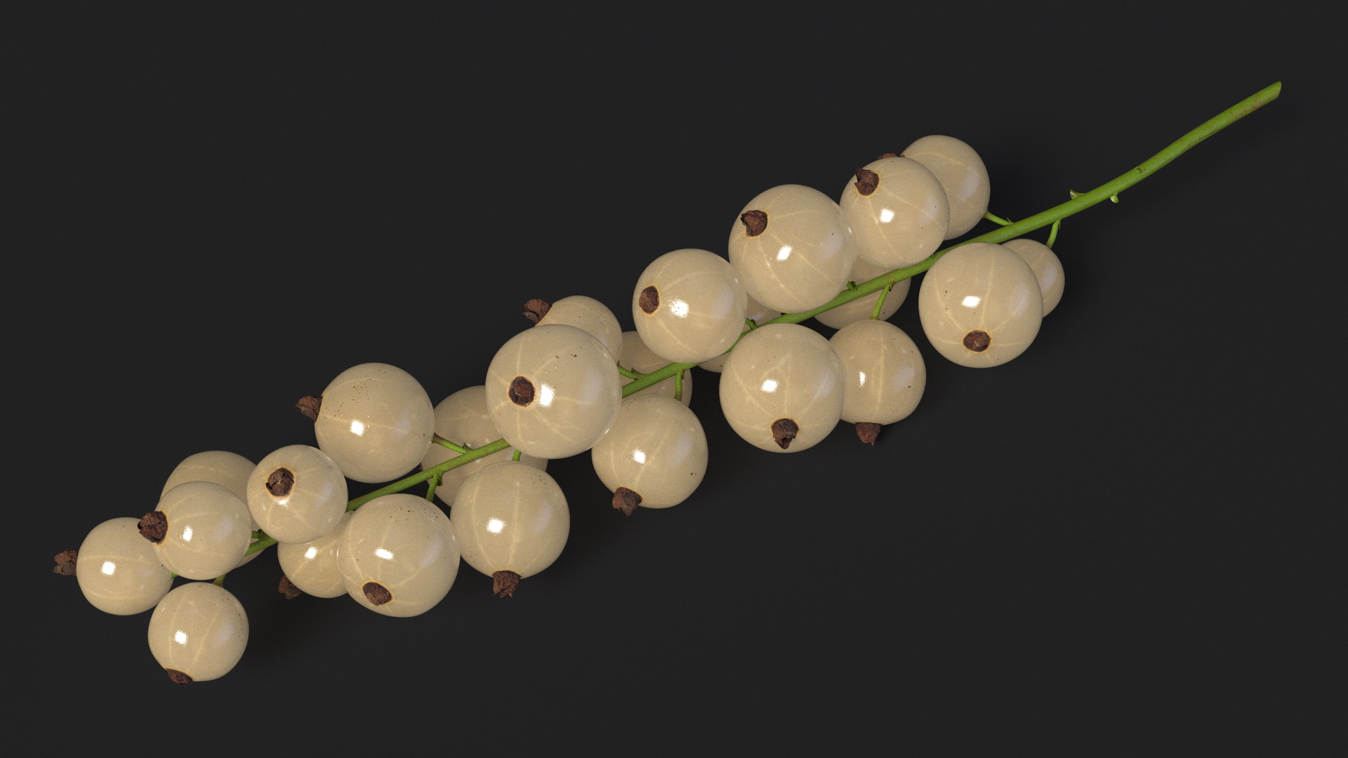White Currants on Stem 3D