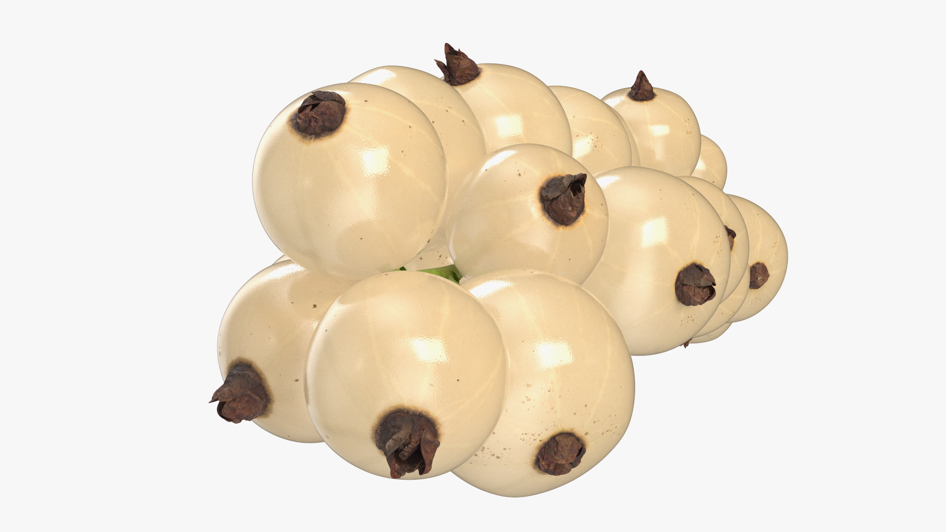 White Currants on Stem 3D