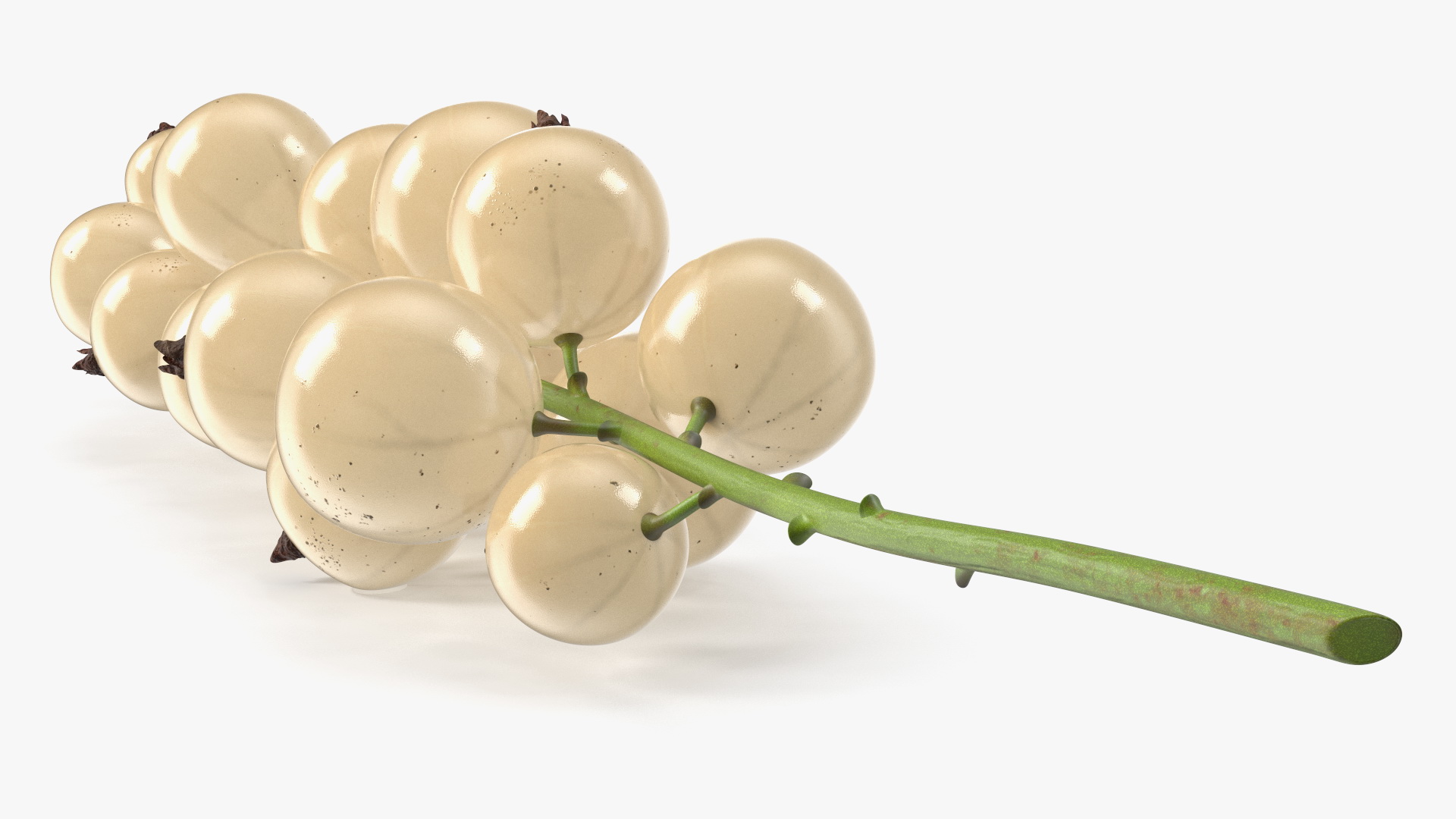 White Currants on Stem 3D
