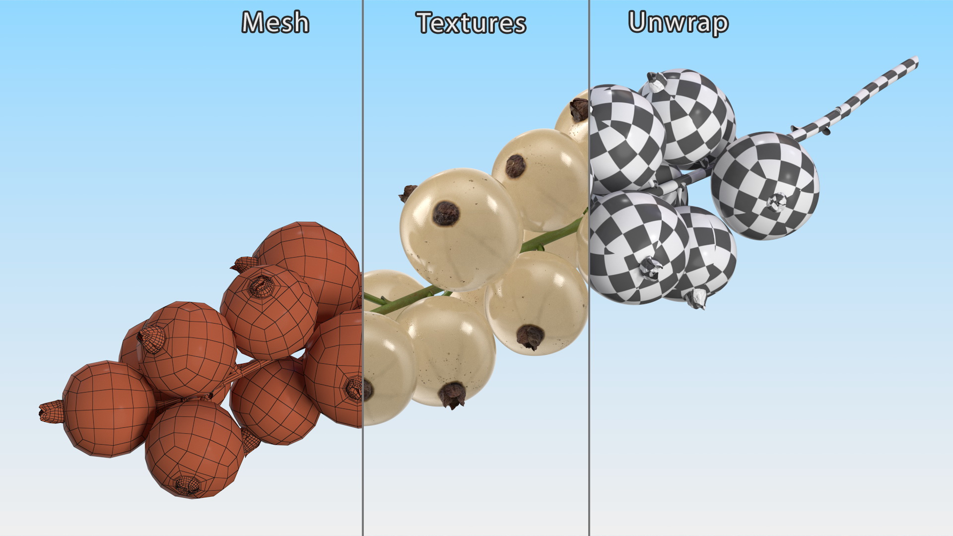 White Currants on Stem 3D