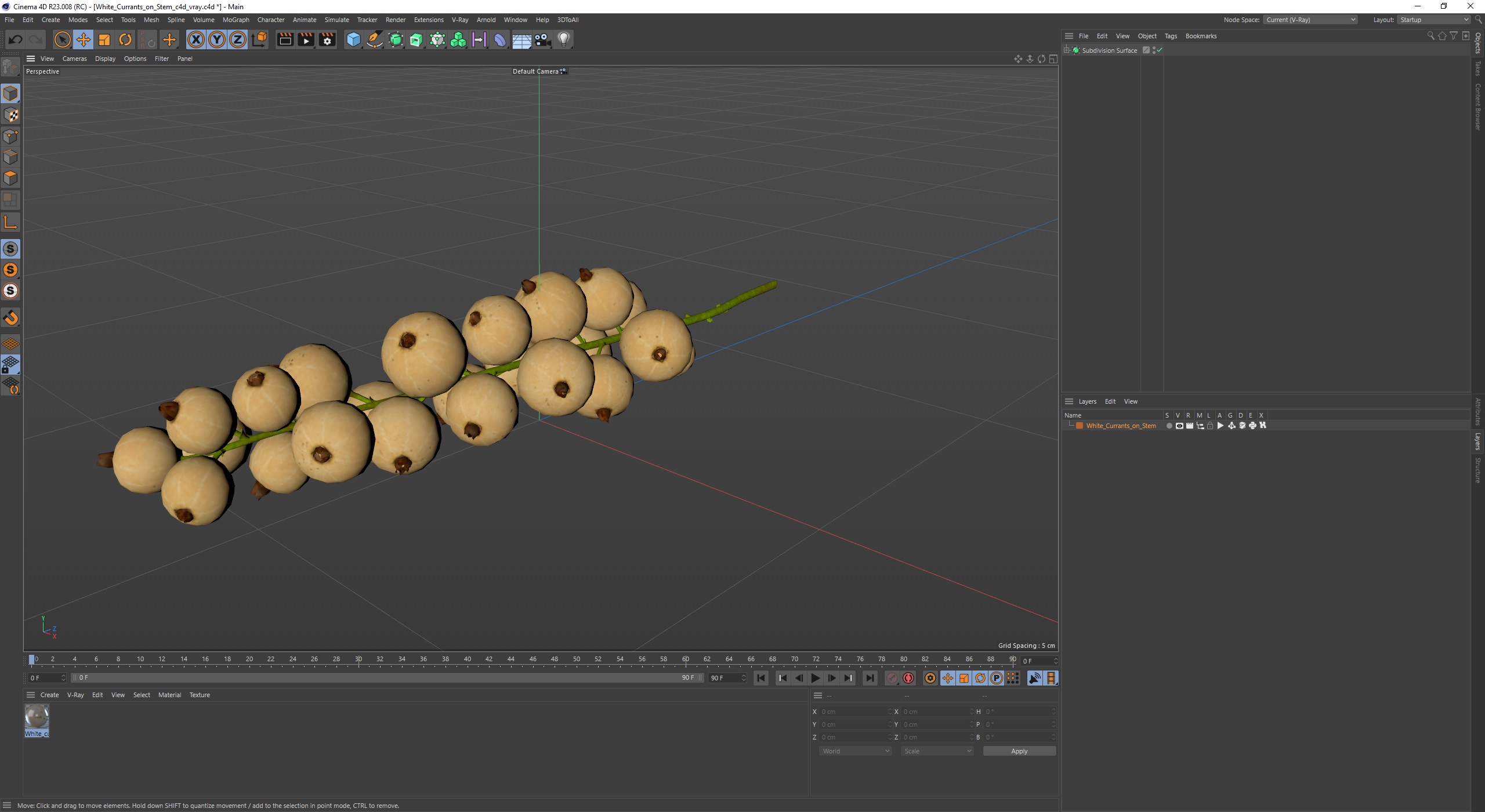 White Currants on Stem 3D