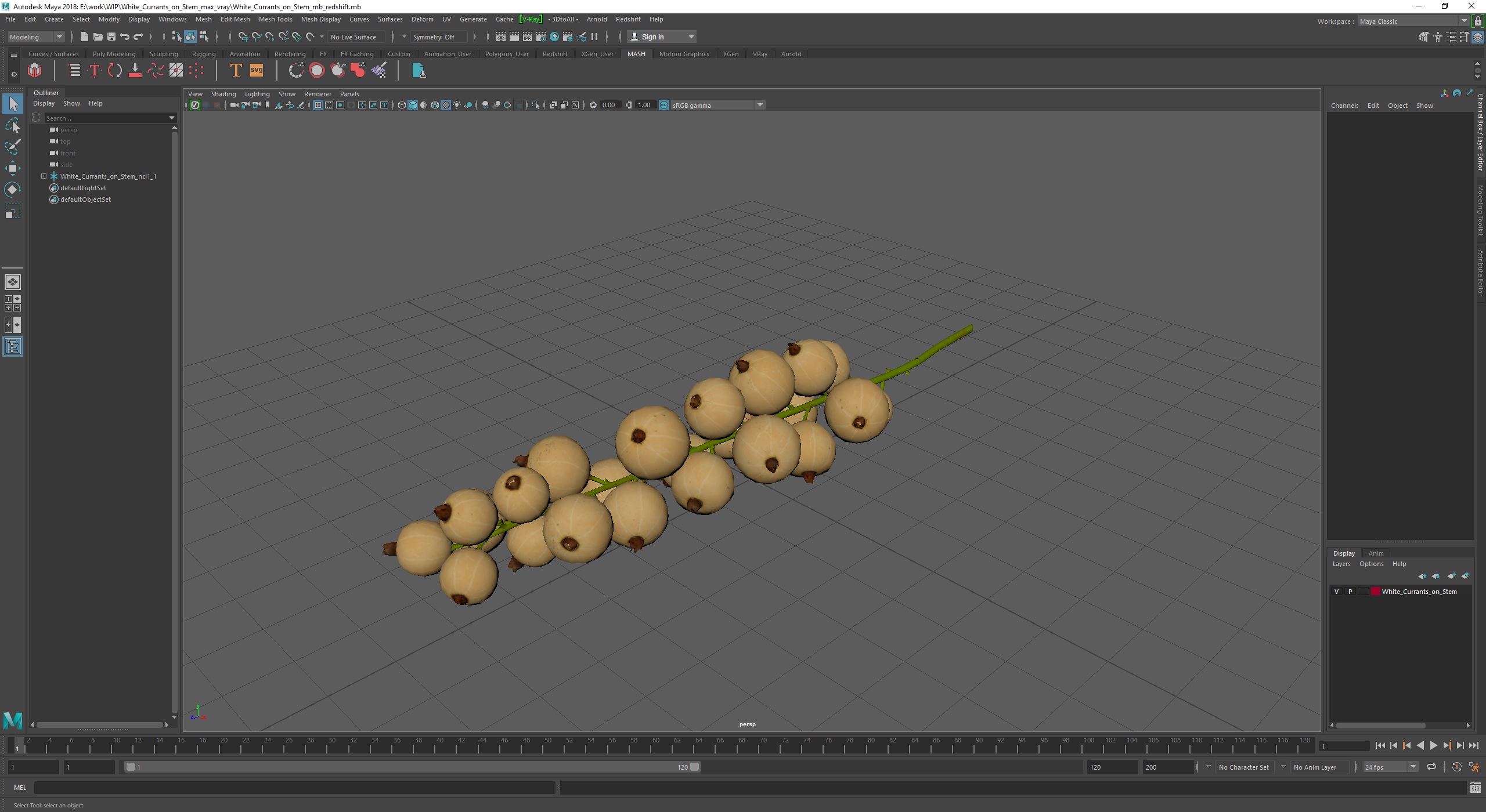 White Currants on Stem 3D