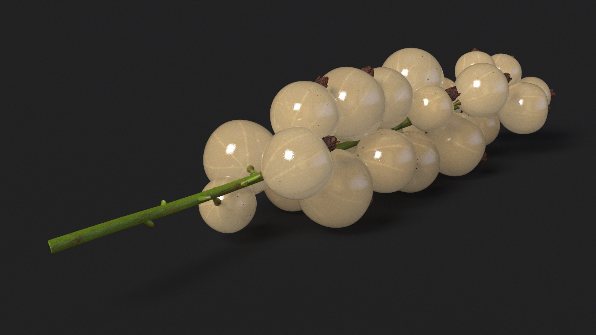 White Currants on Stem 3D