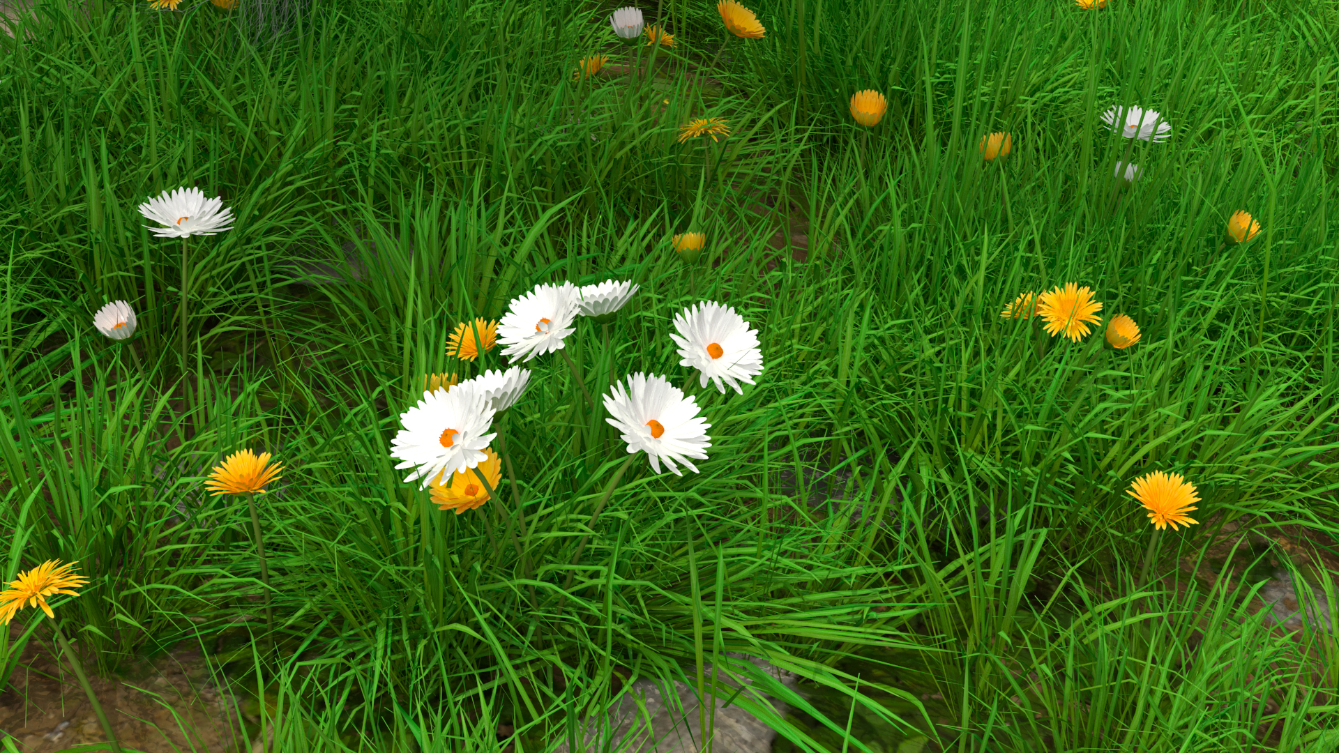 Shetland Pony Grazing in a Meadow Fur 3D