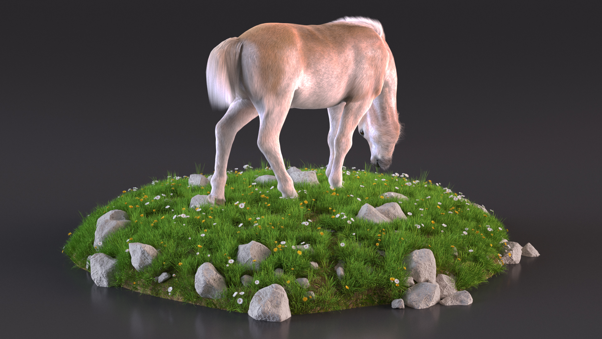 Shetland Pony Grazing in a Meadow Fur 3D
