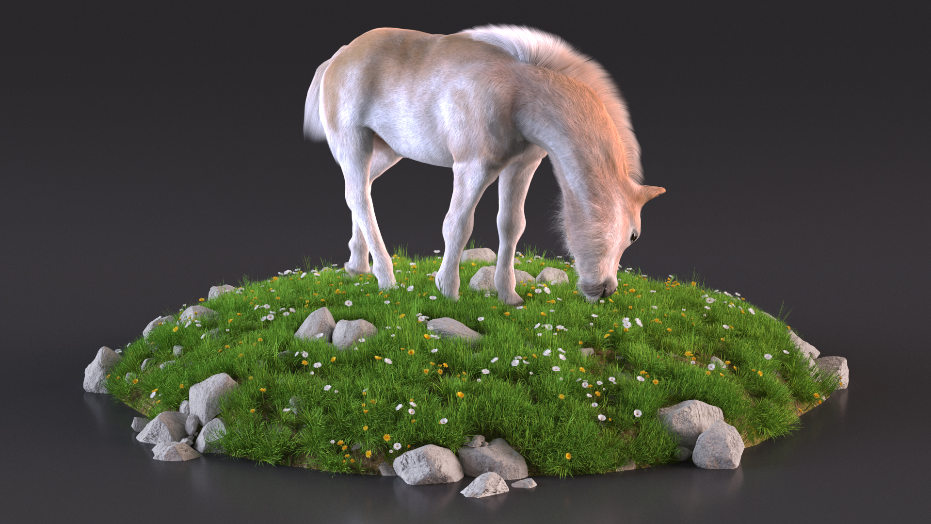 Shetland Pony Grazing in a Meadow Fur 3D