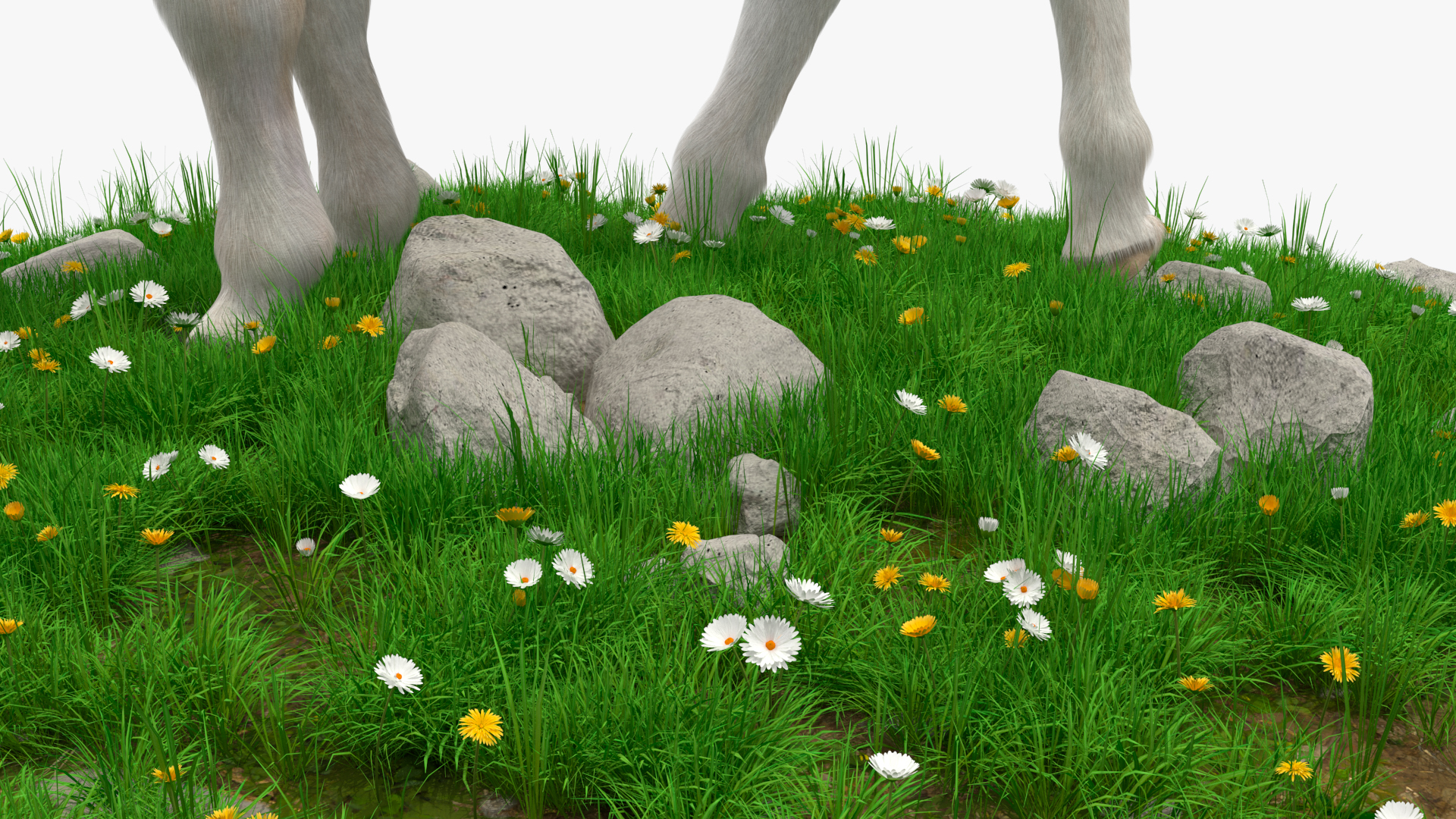 Shetland Pony Grazing in a Meadow Fur 3D