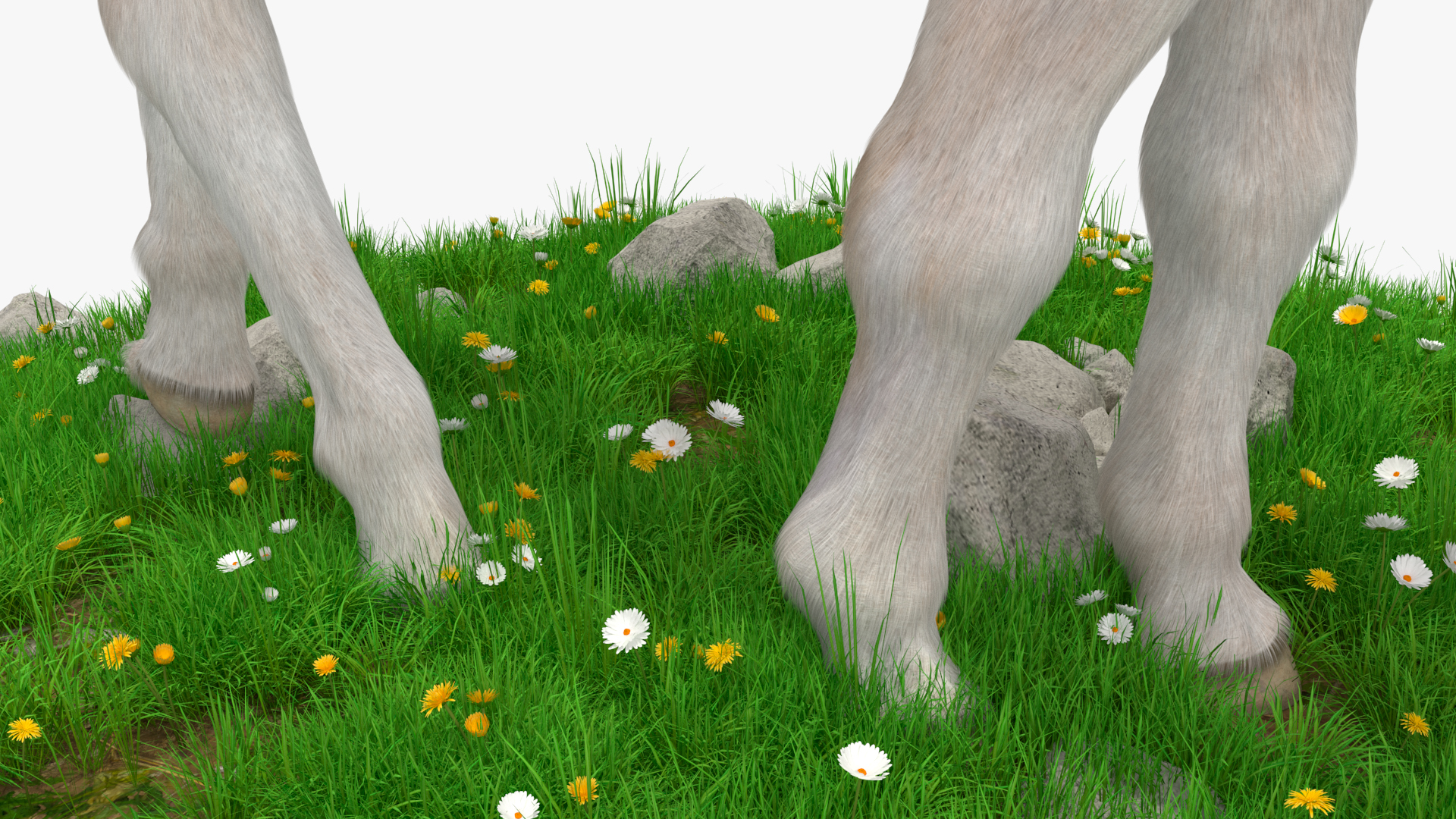 Shetland Pony Grazing in a Meadow Fur 3D