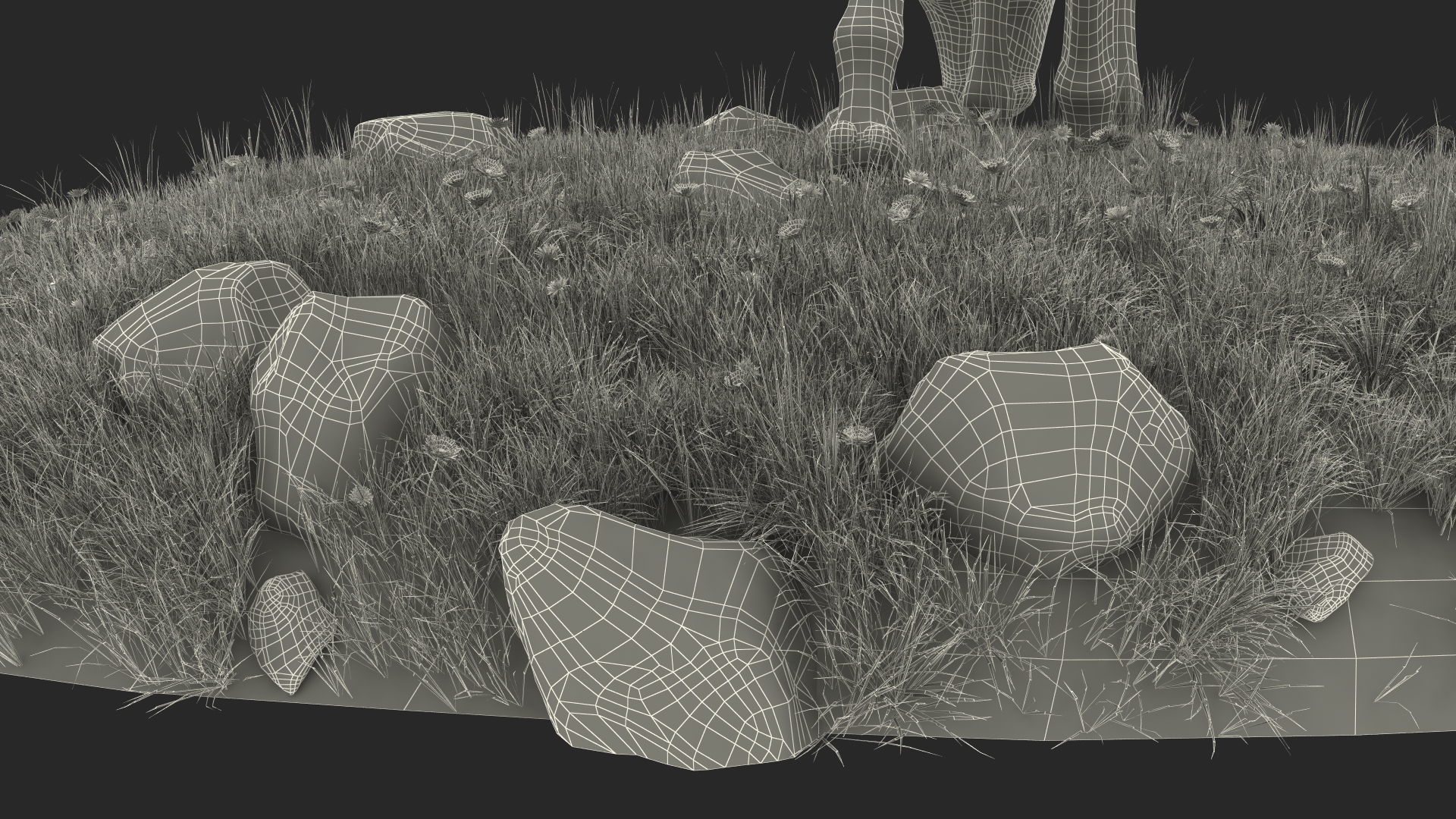 Shetland Pony Grazing in a Meadow Fur 3D