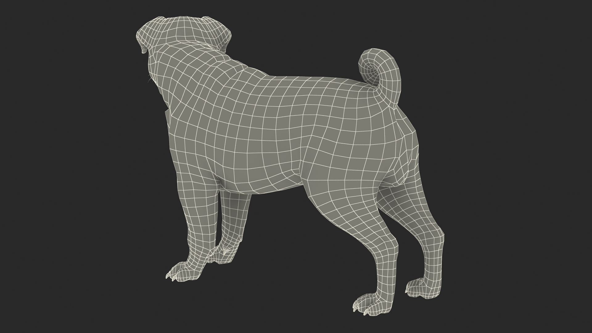 3D Pug Dog Fur