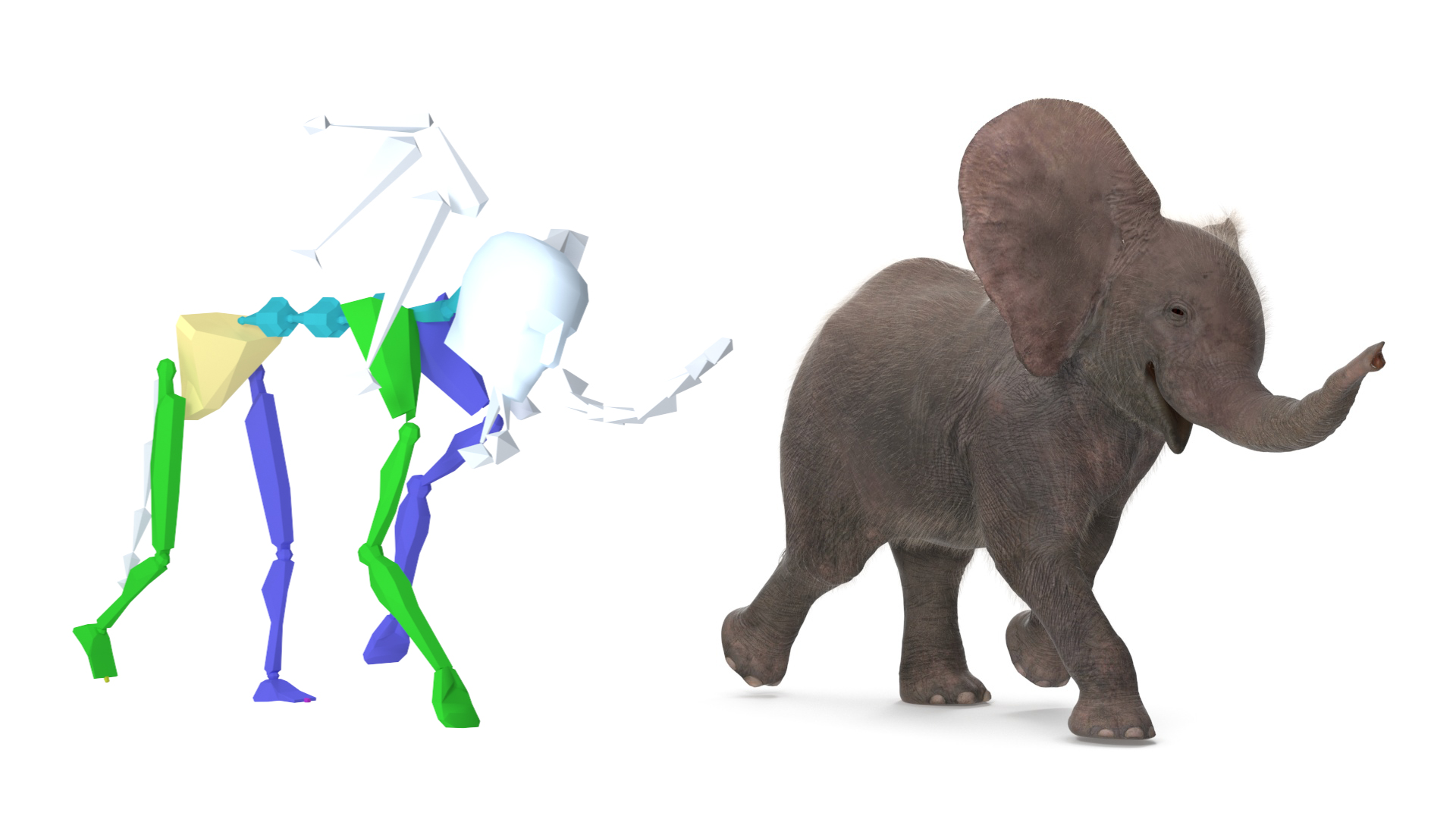Baby Elephant Rigged Fur 3D model