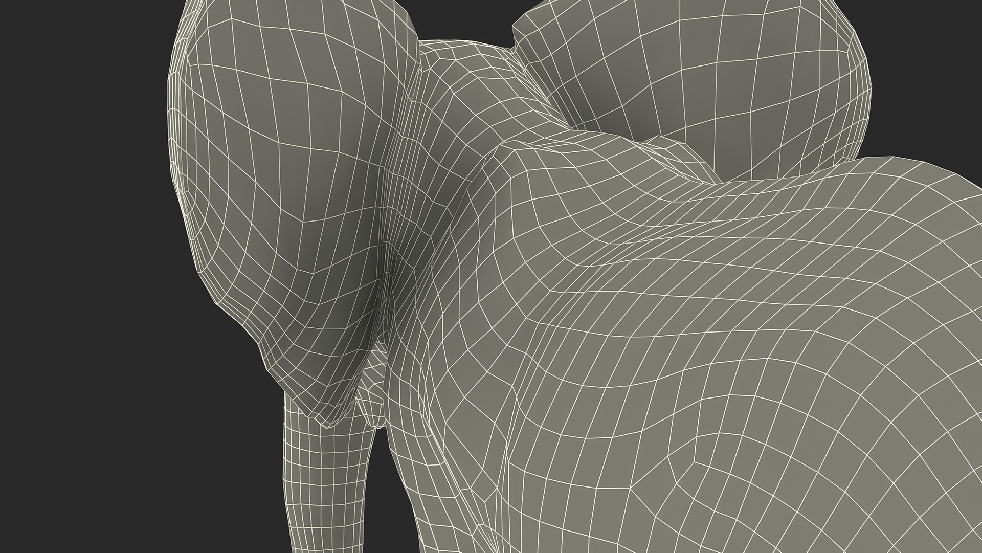 Baby Elephant Rigged Fur 3D model