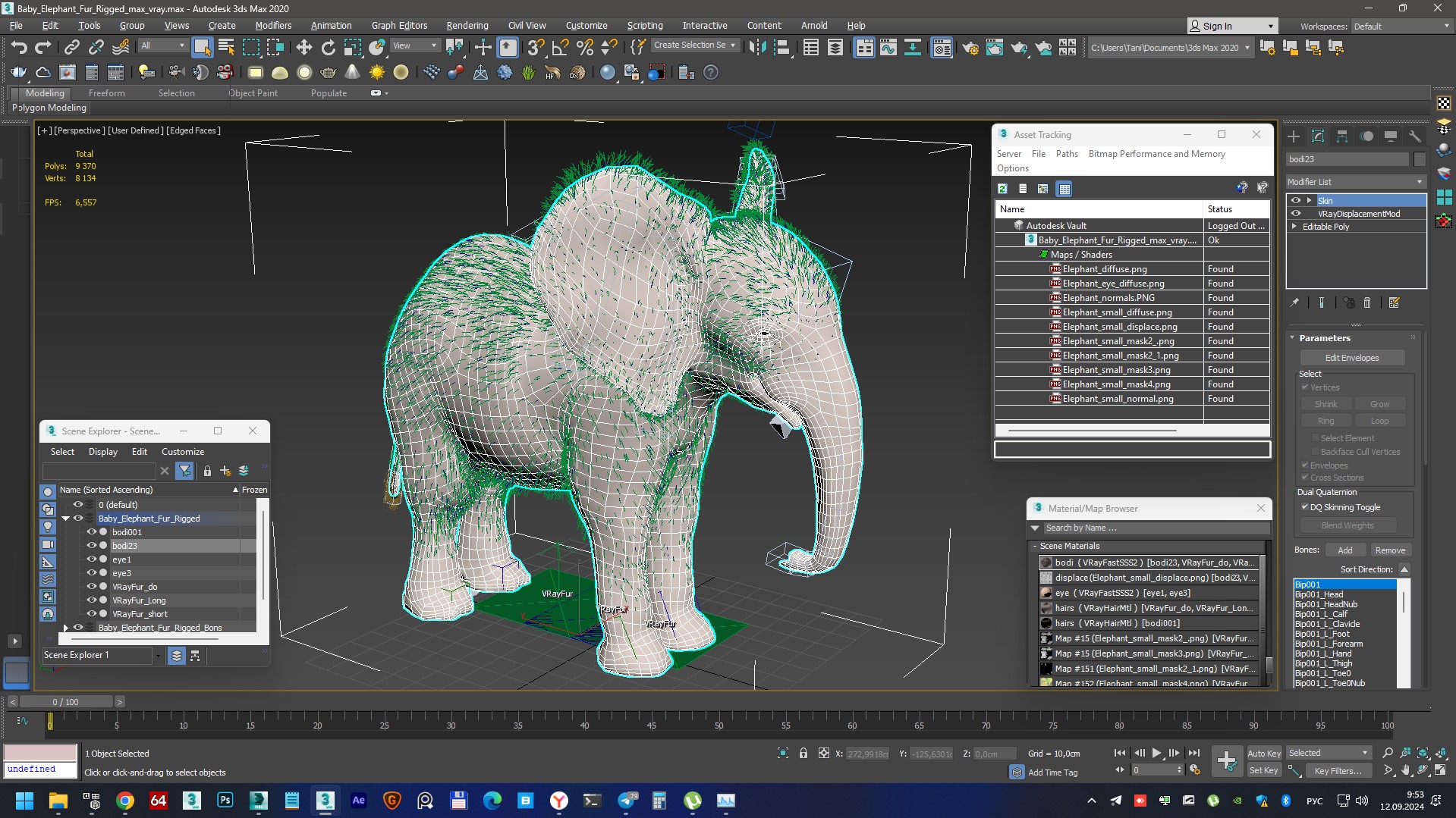 Baby Elephant Rigged Fur 3D model