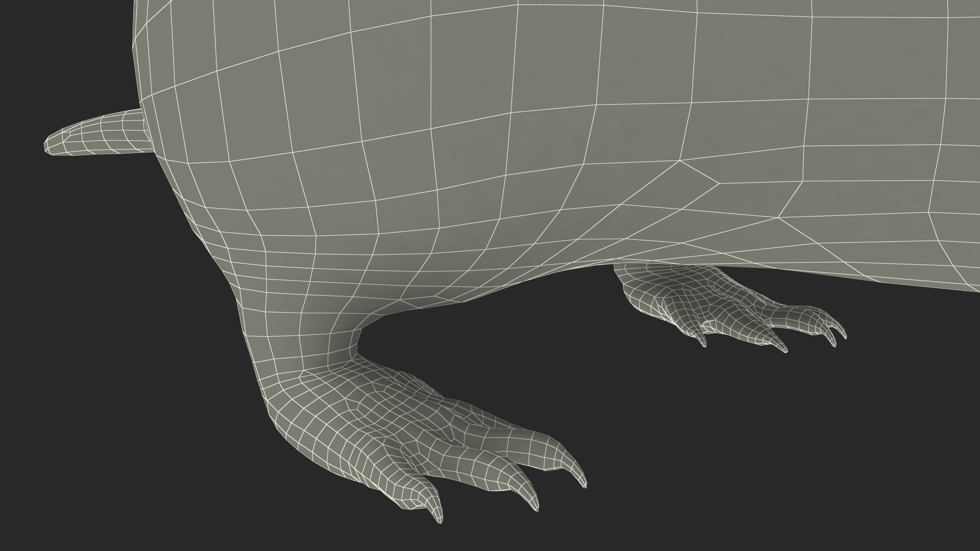 European Mole Animal Rigged 3D