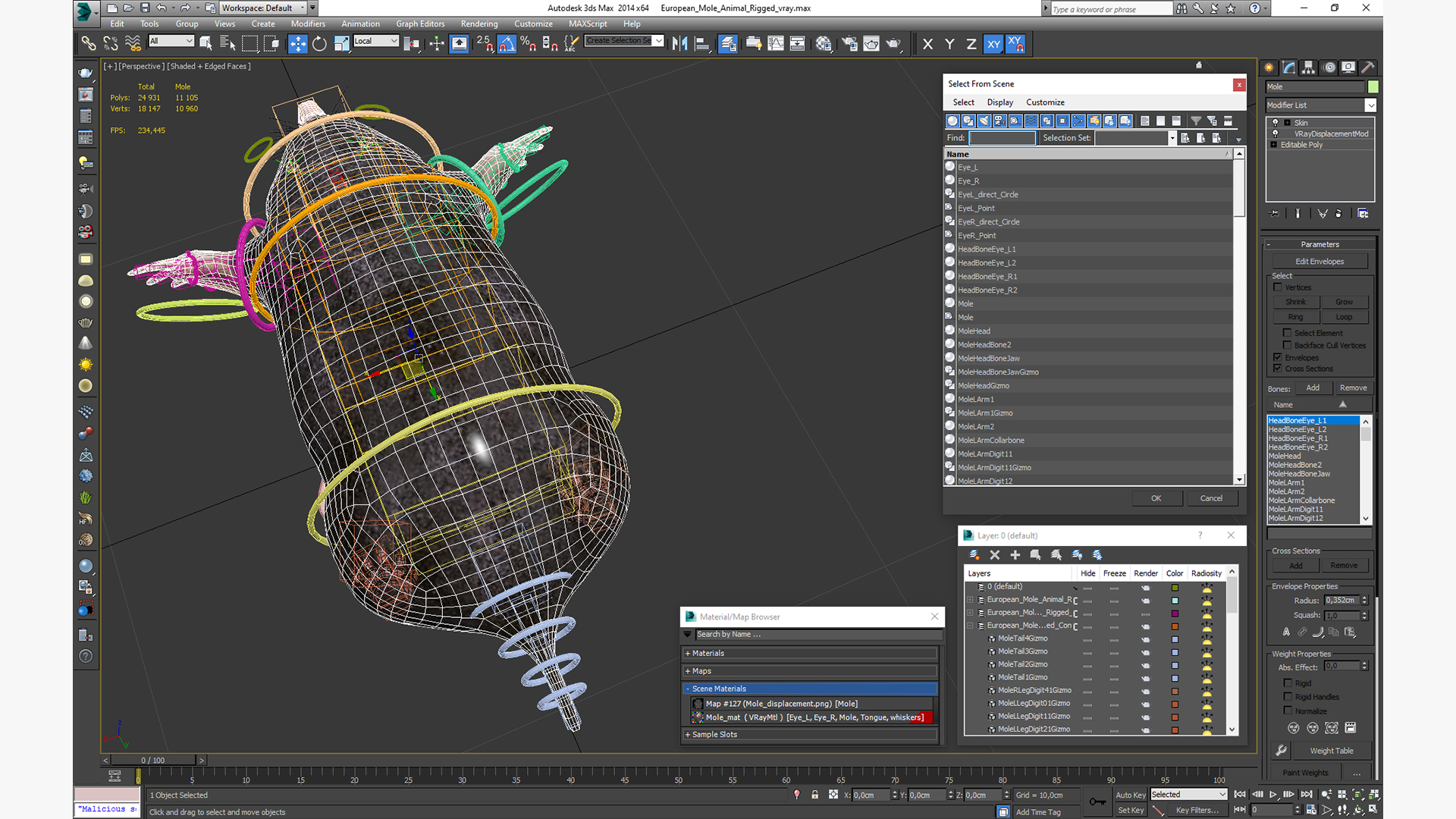 European Mole Animal Rigged 3D