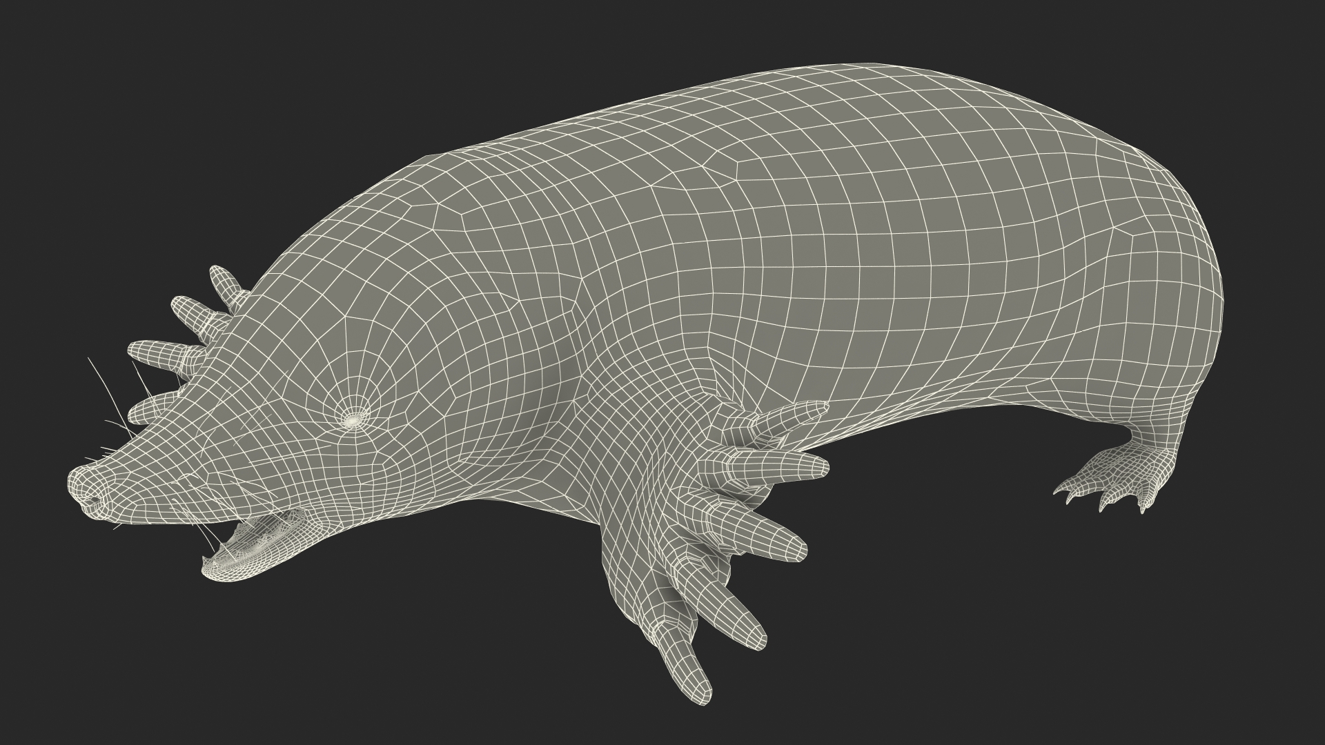 European Mole Animal Rigged 3D