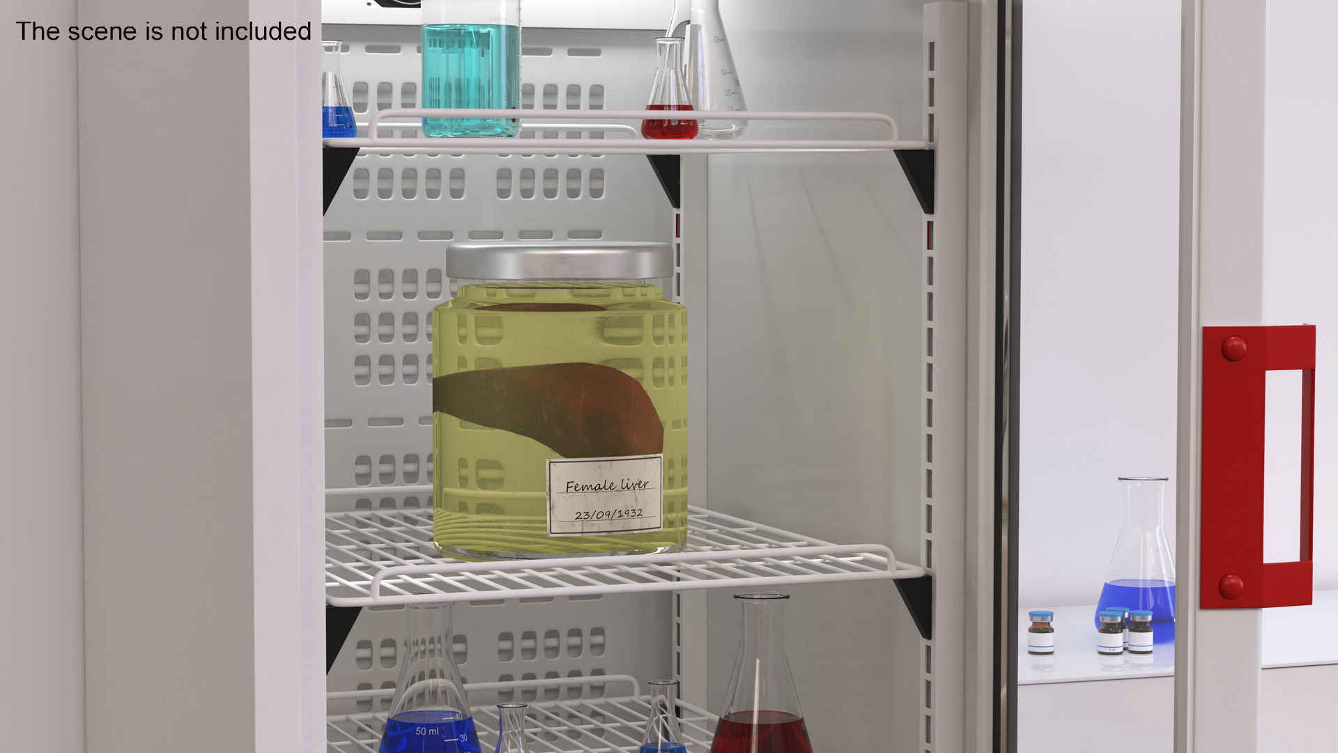 3D Human Liver Organ in a Jar