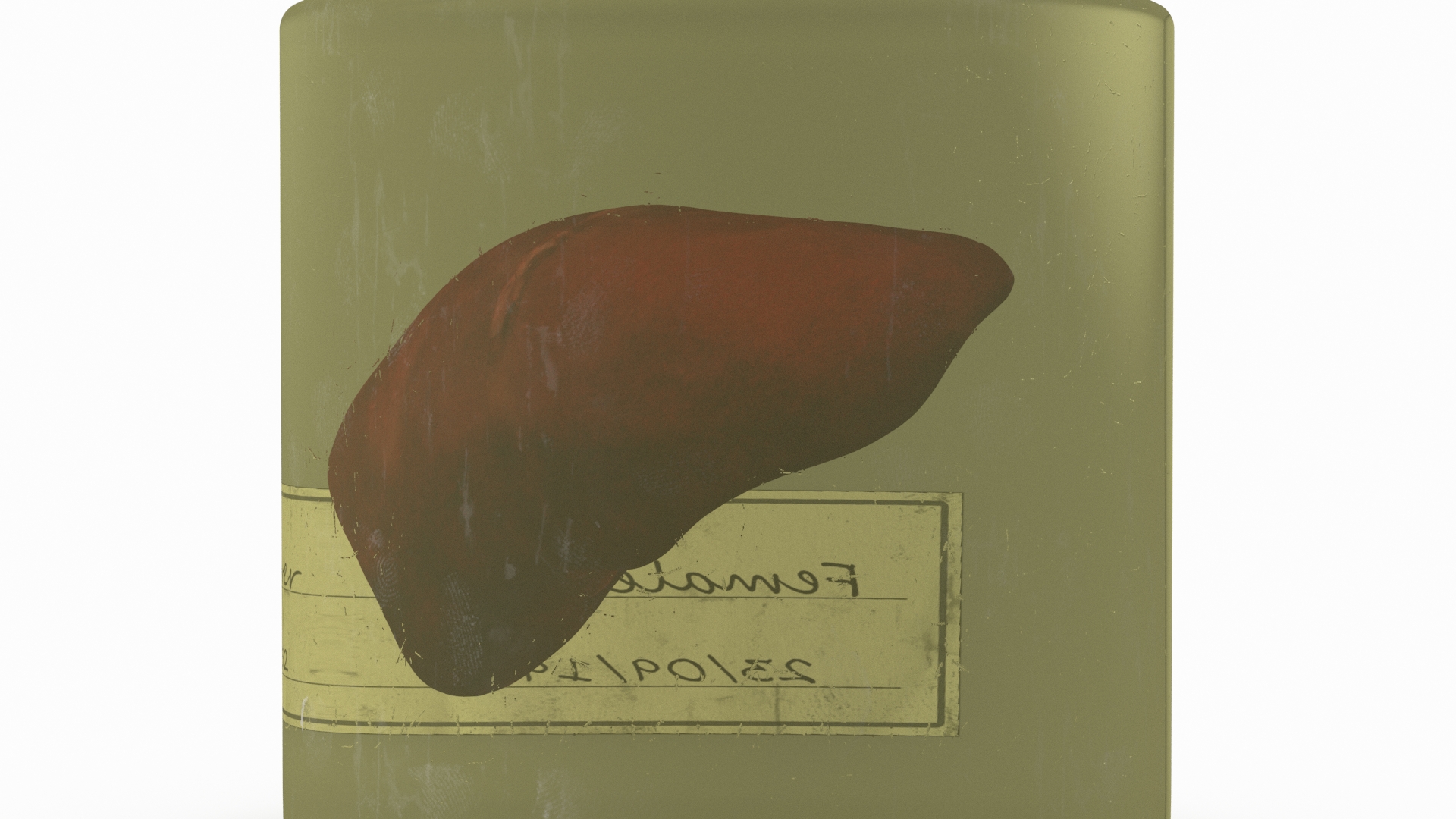 3D Human Liver Organ in a Jar