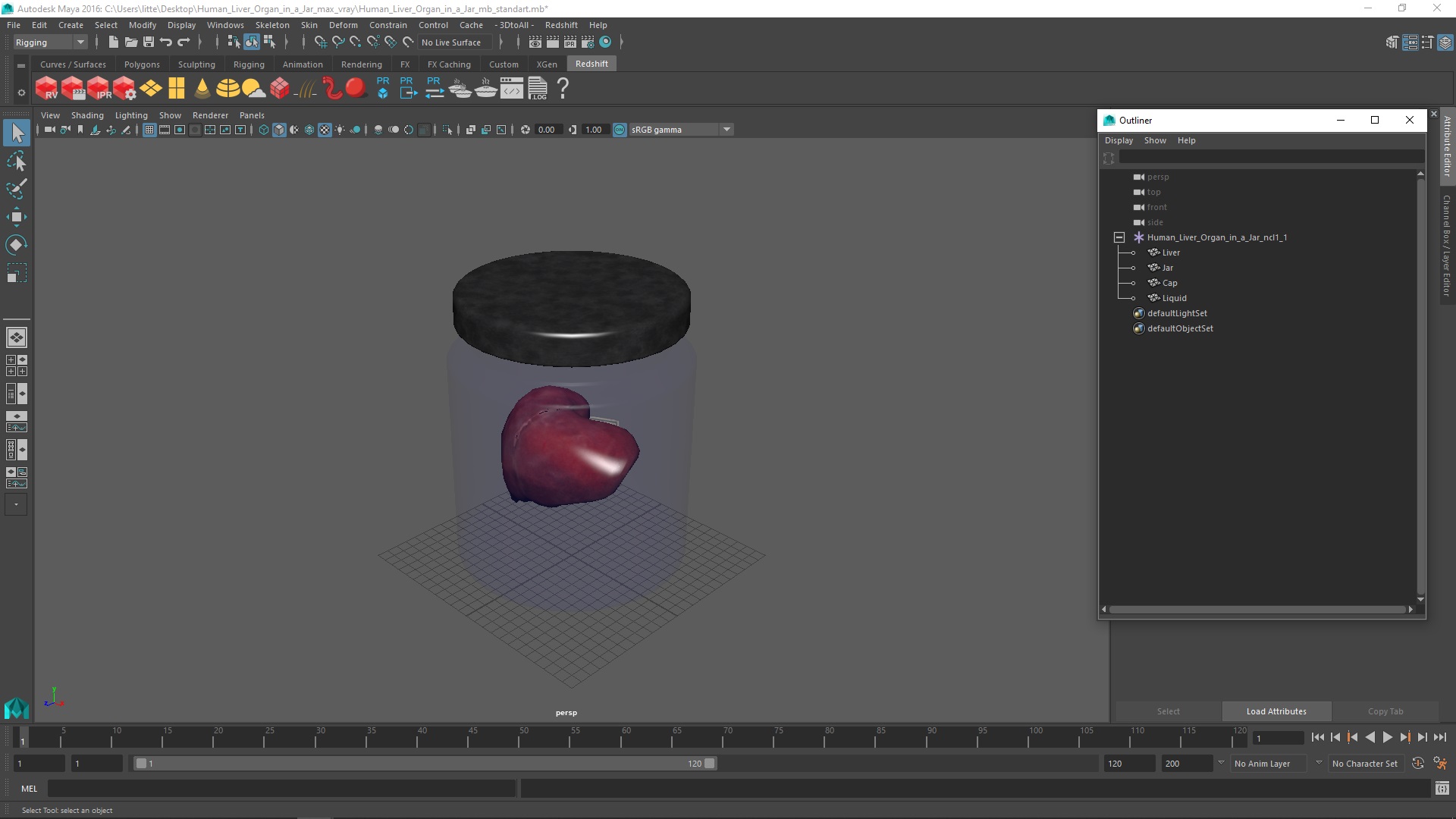 3D Human Liver Organ in a Jar