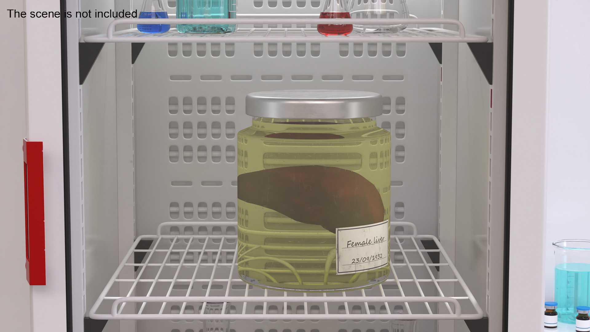 3D Human Liver Organ in a Jar