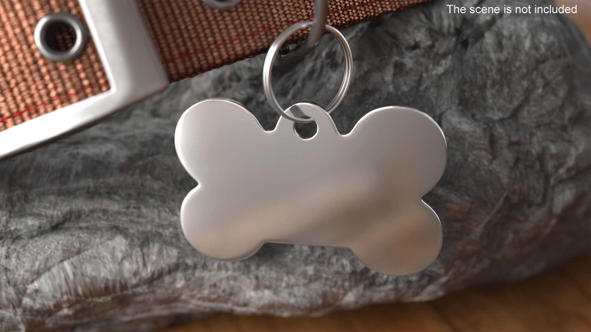 3D Dog Collar Tag Chrome