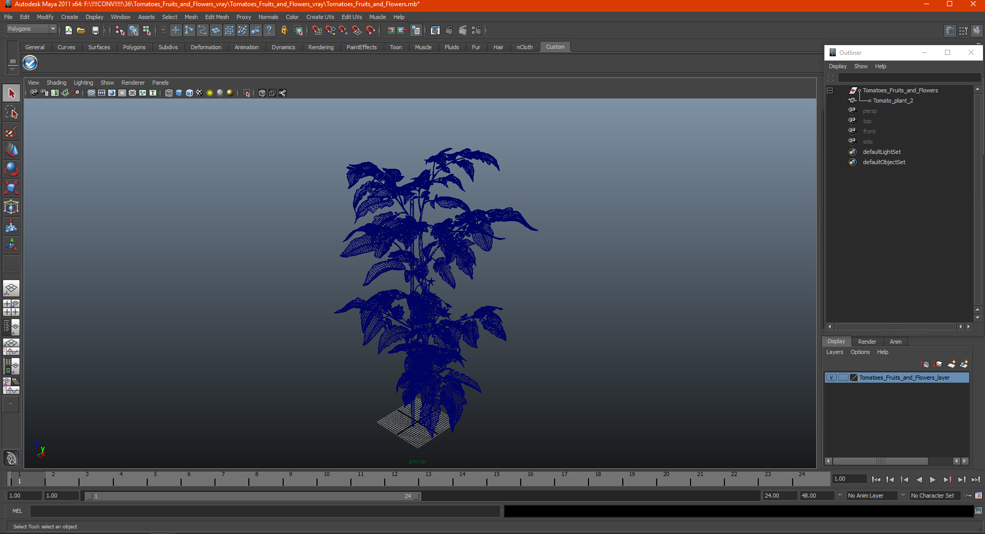 Tomatoes Fruits and Flowers 3D