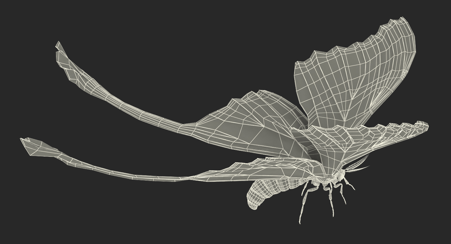 3D Comet Moth Flying Pose with Fur