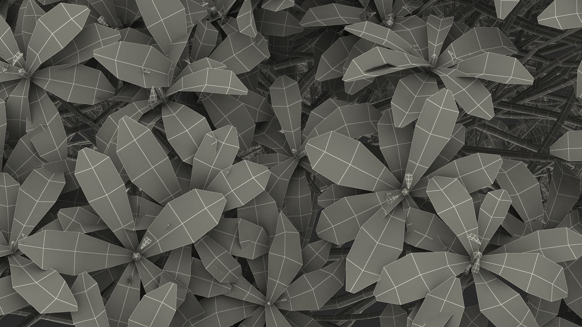 3D Daphne Odora Evergreen Shrub model