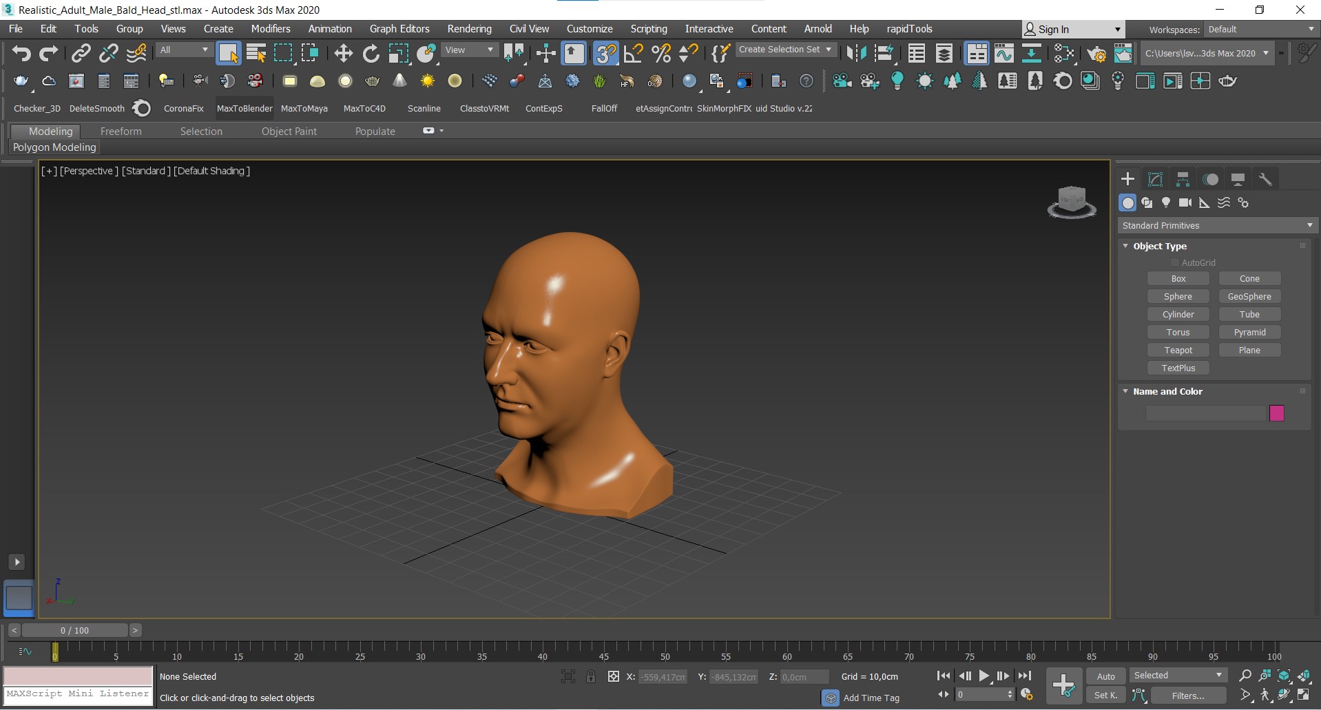 3D Realistic Adult Male Bald Head for 3D Print model