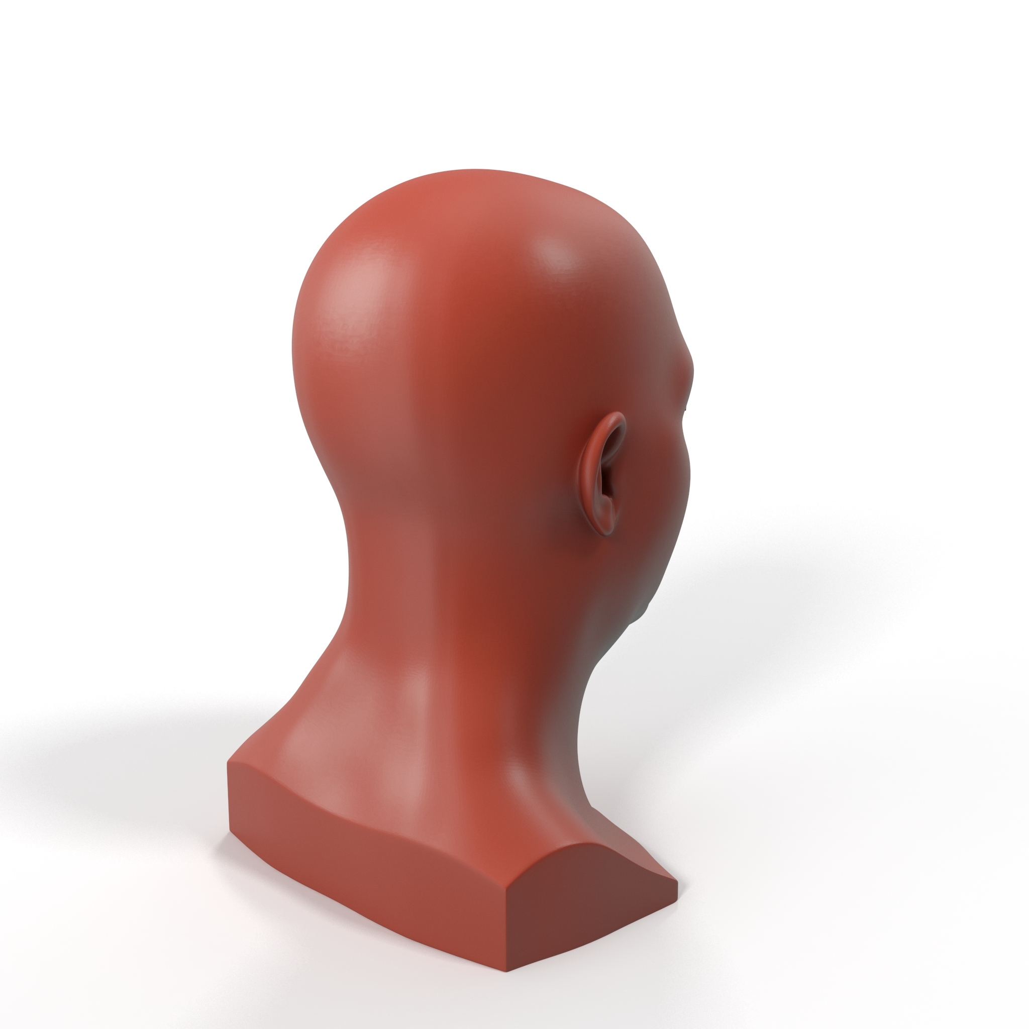 3D Realistic Adult Male Bald Head for 3D Print model