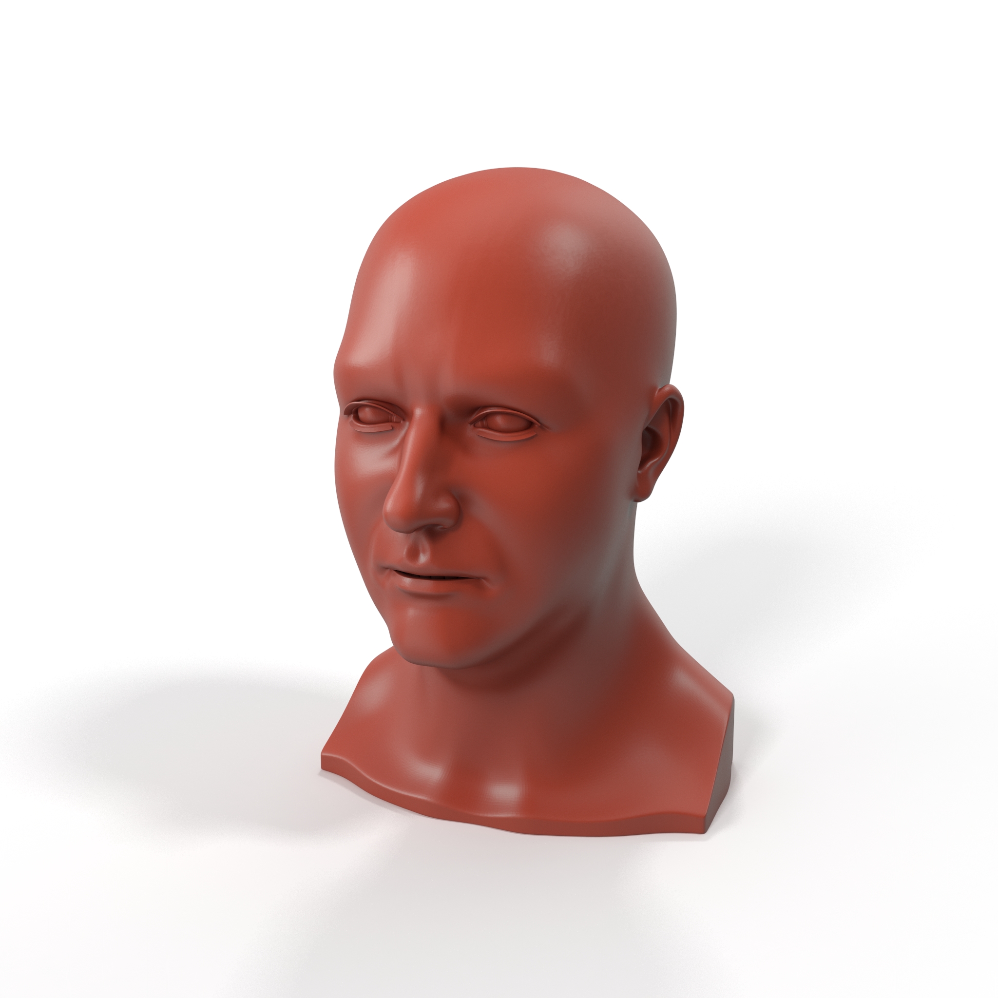 3D Realistic Adult Male Bald Head for 3D Print model