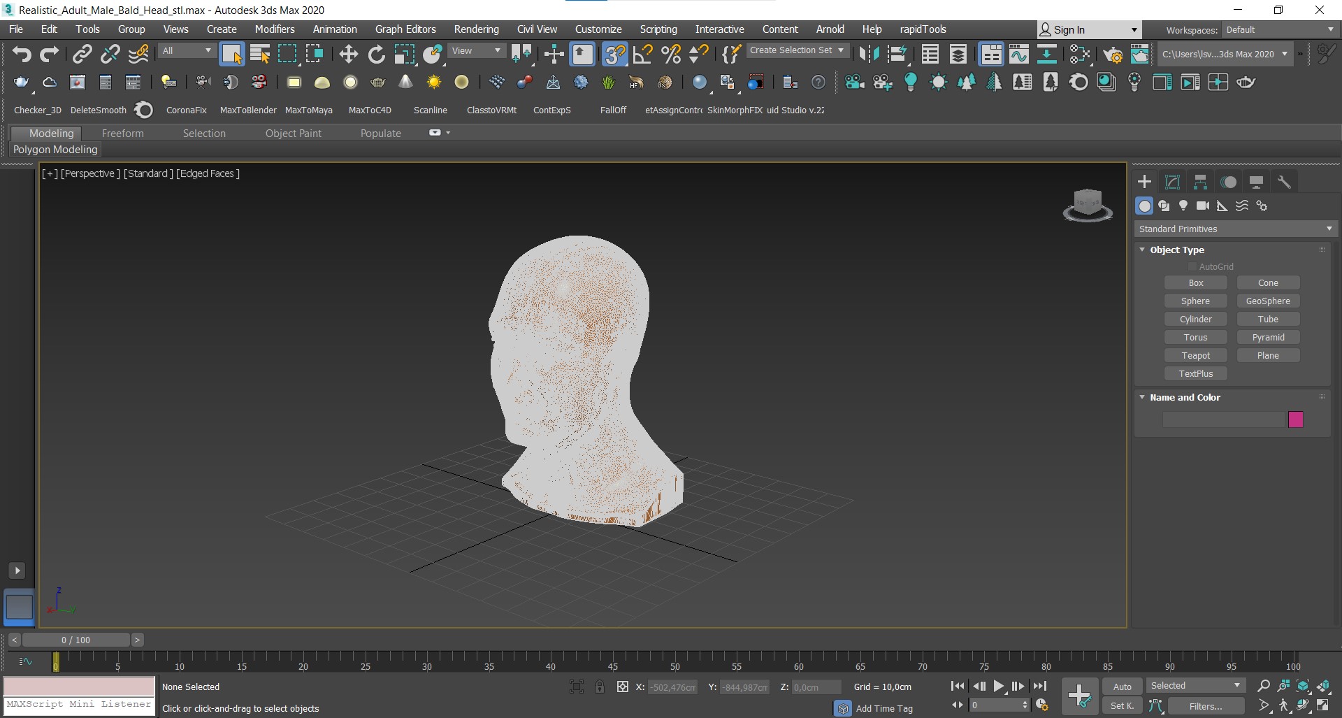 3D Realistic Adult Male Bald Head for 3D Print model
