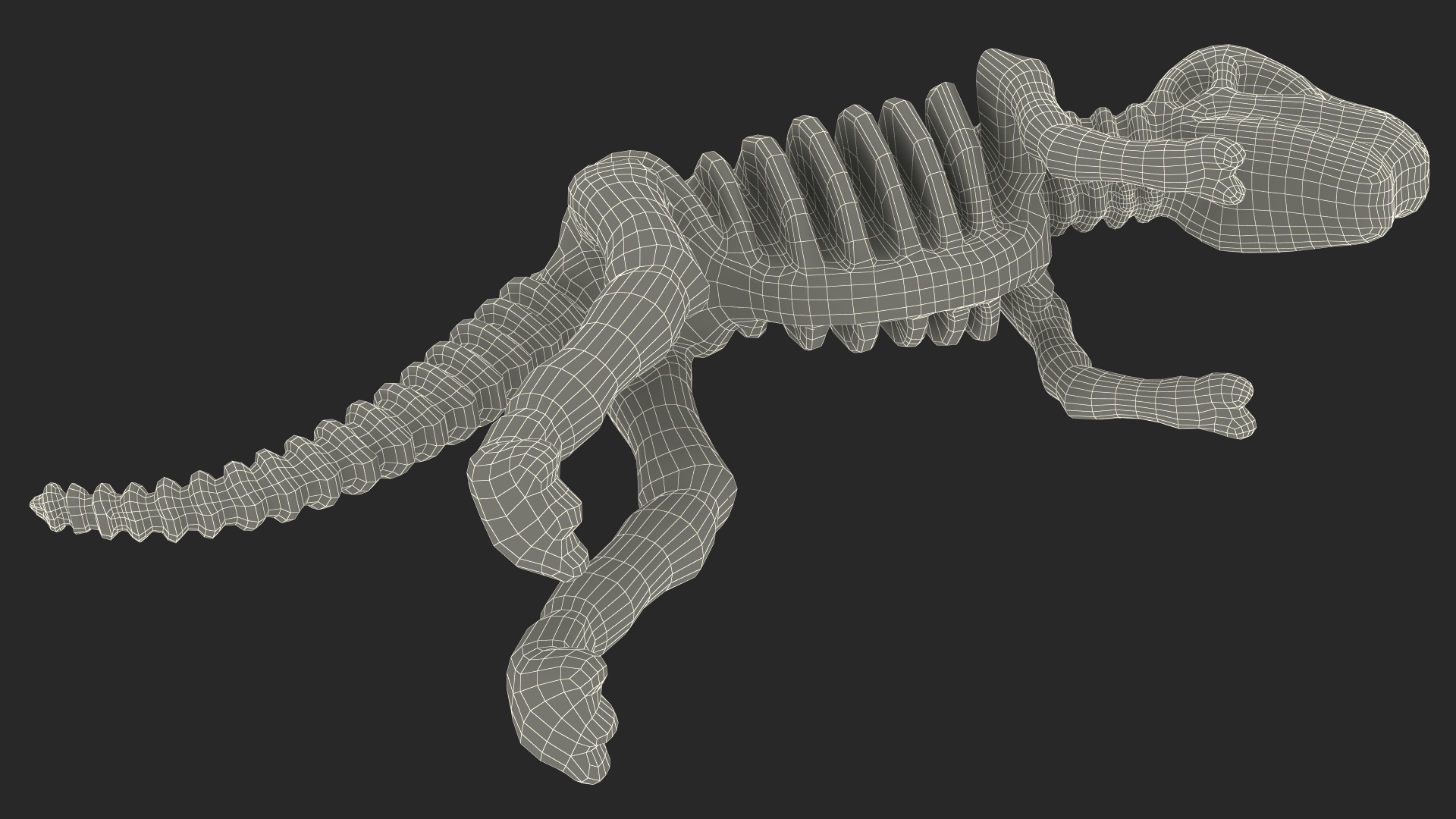 3D Tyrannosaurus Skeleton Toy