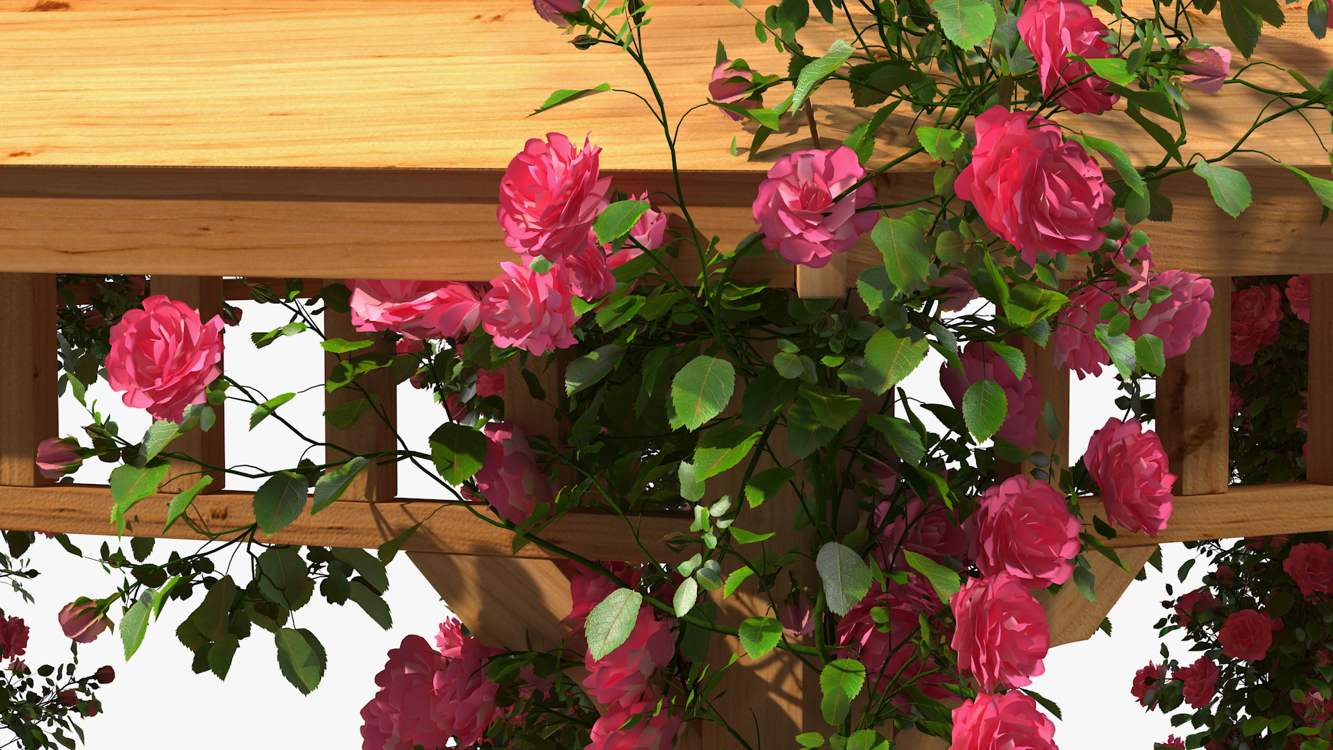 Wooden Gazebo Covered with Pink Roses 3D